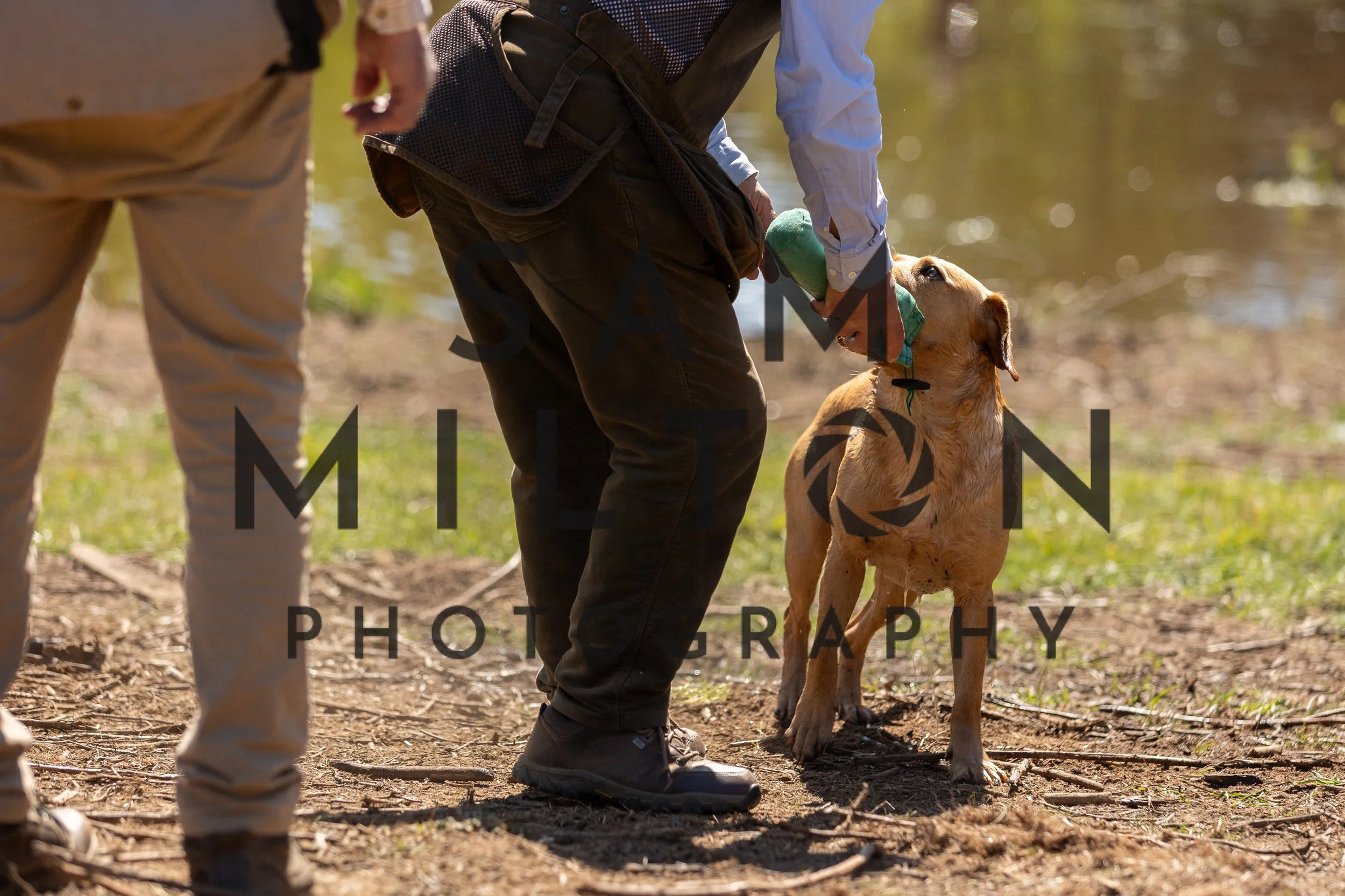 Gun Dog Challenge-374.jpg