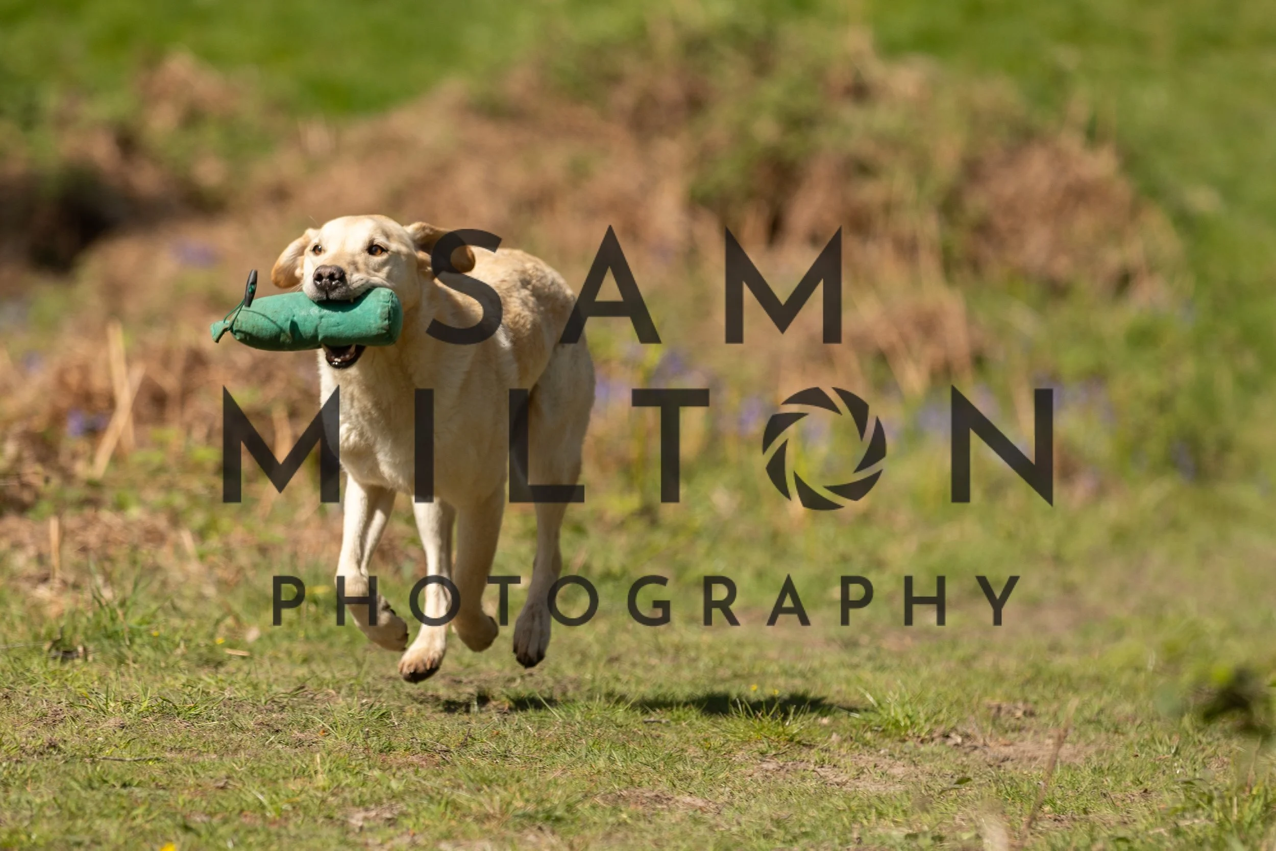 Gun Dog Challenge-258.jpg