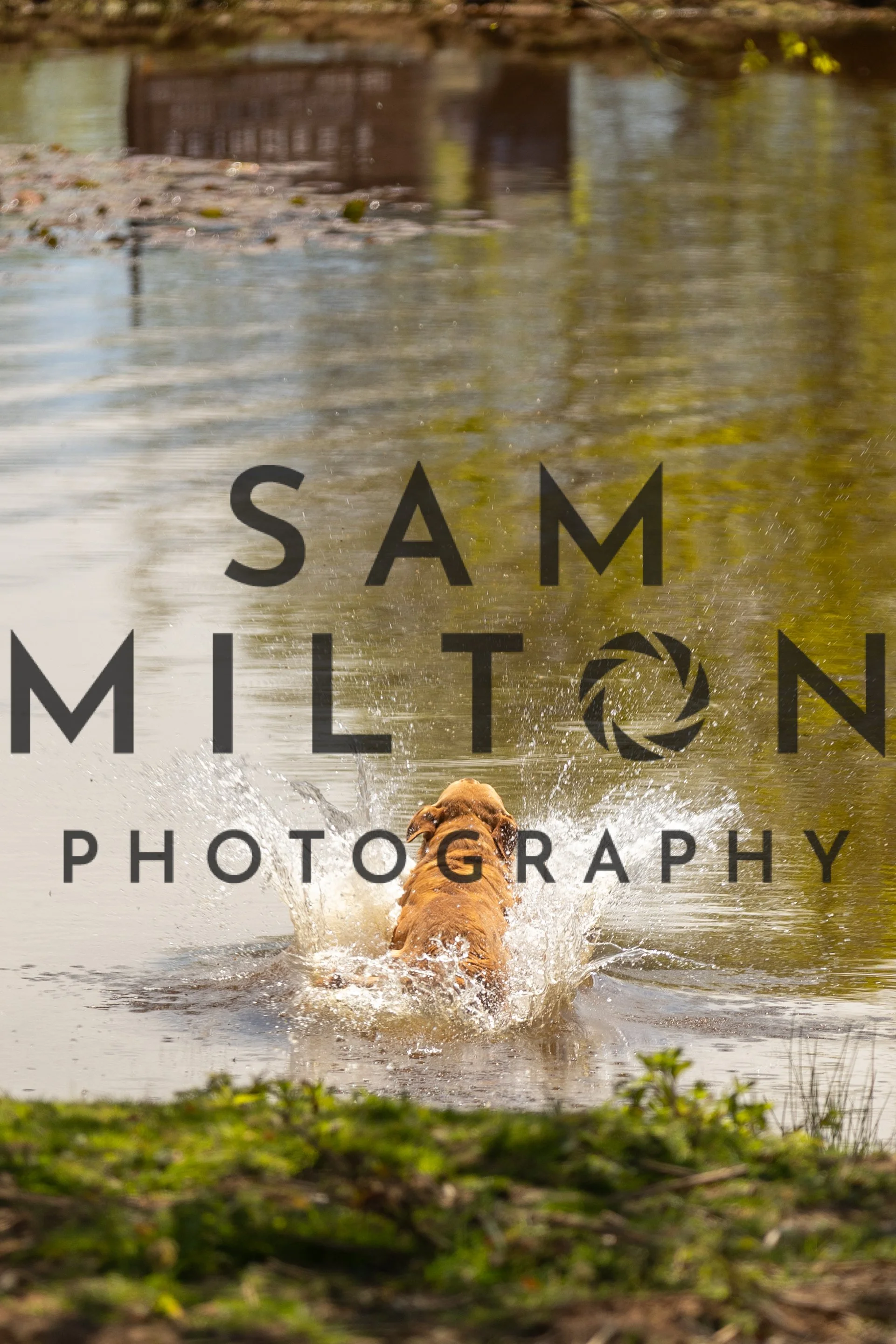 Gun Dog Challenge-347.jpg