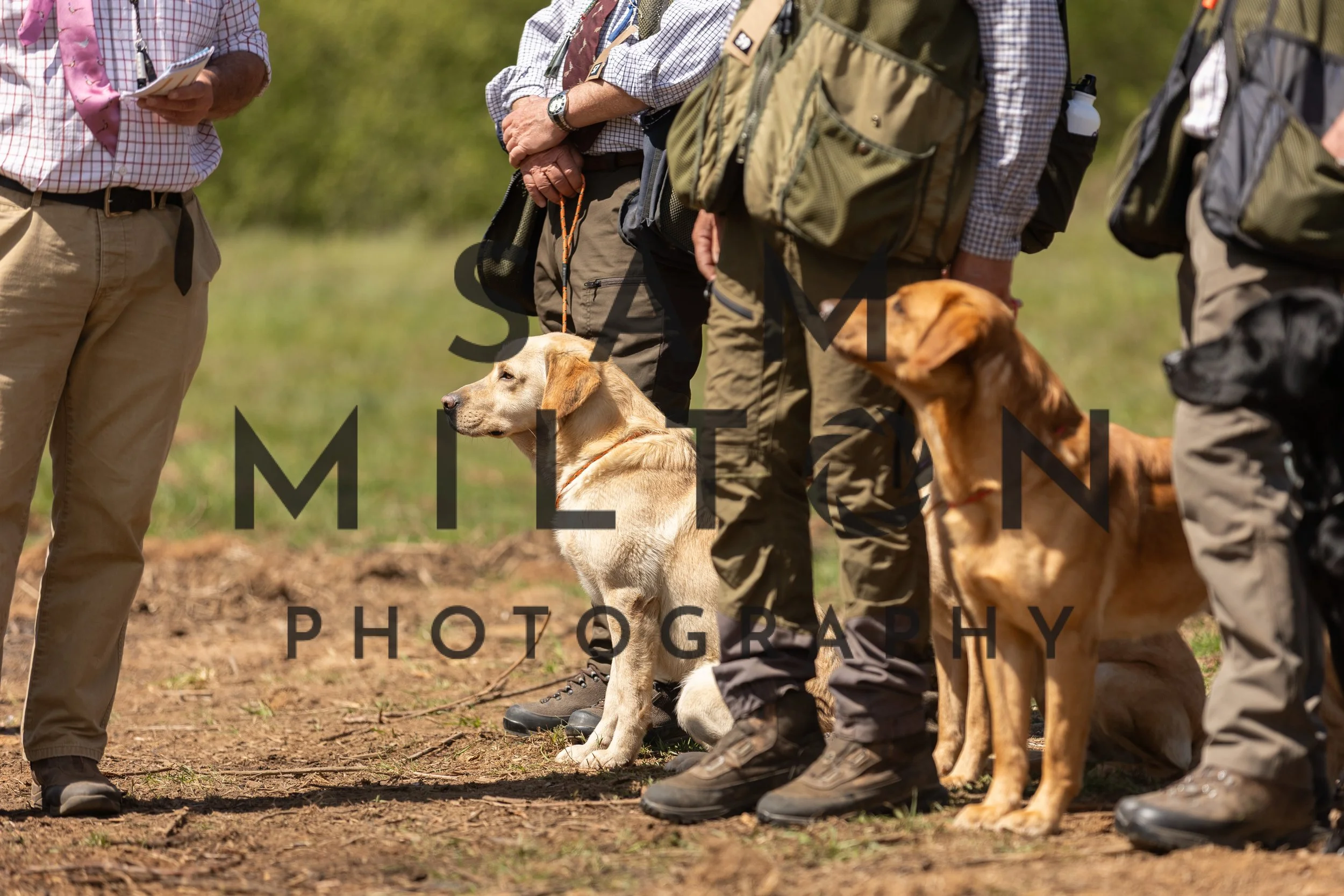 Gun Dog Challenge-334.jpg