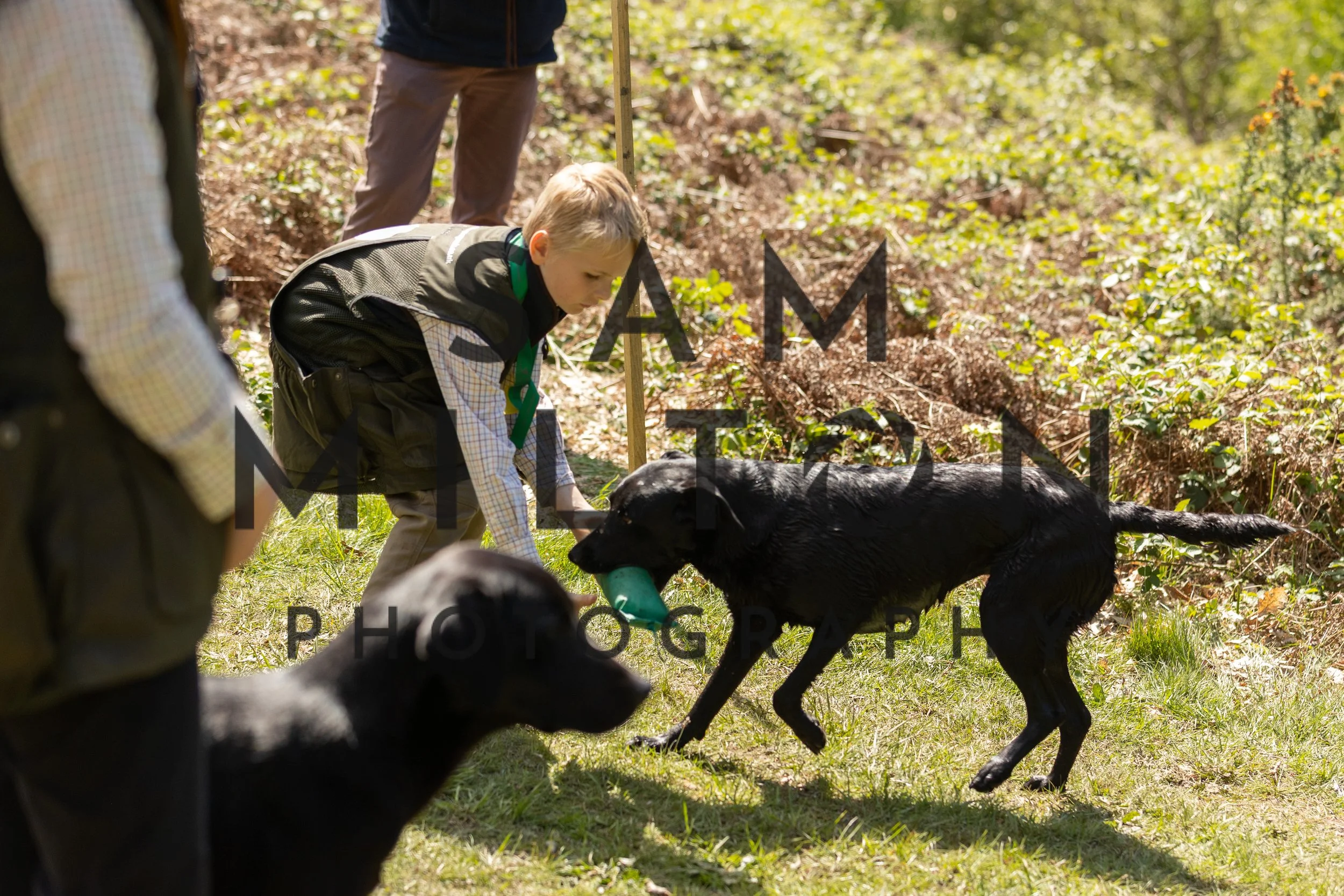 Gun Dog Challenge-316.jpg