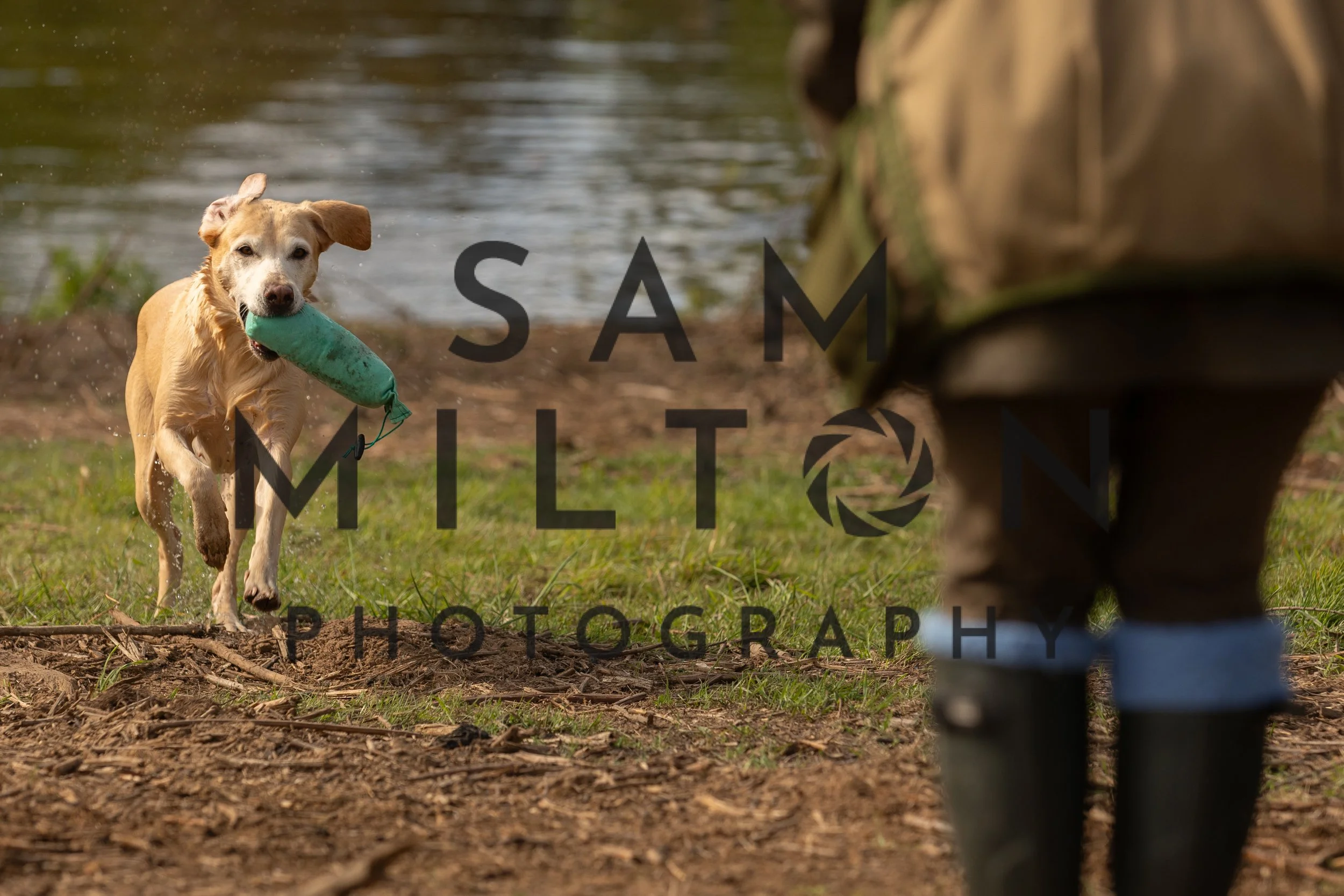 Gun Dog Challenge-58.jpg