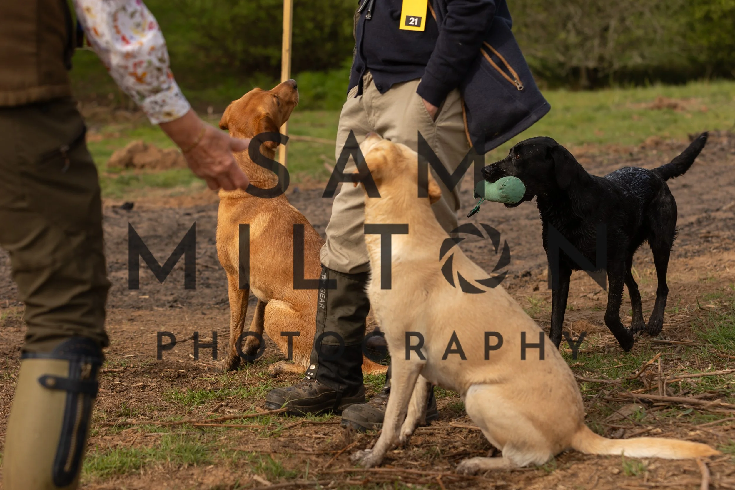 Gun Dog Challenge-50.jpg