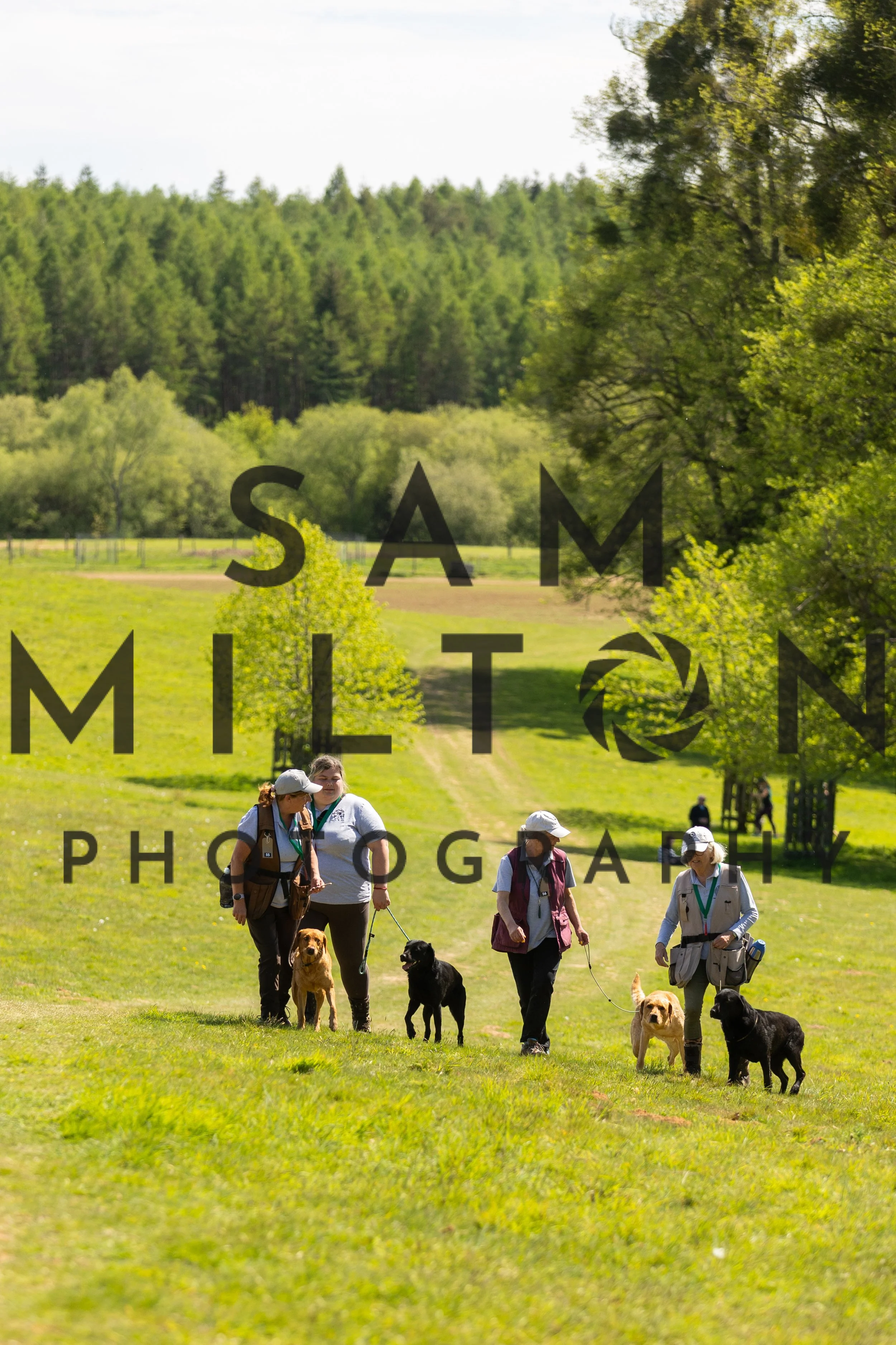 Gun Dog Challenge-330.jpg