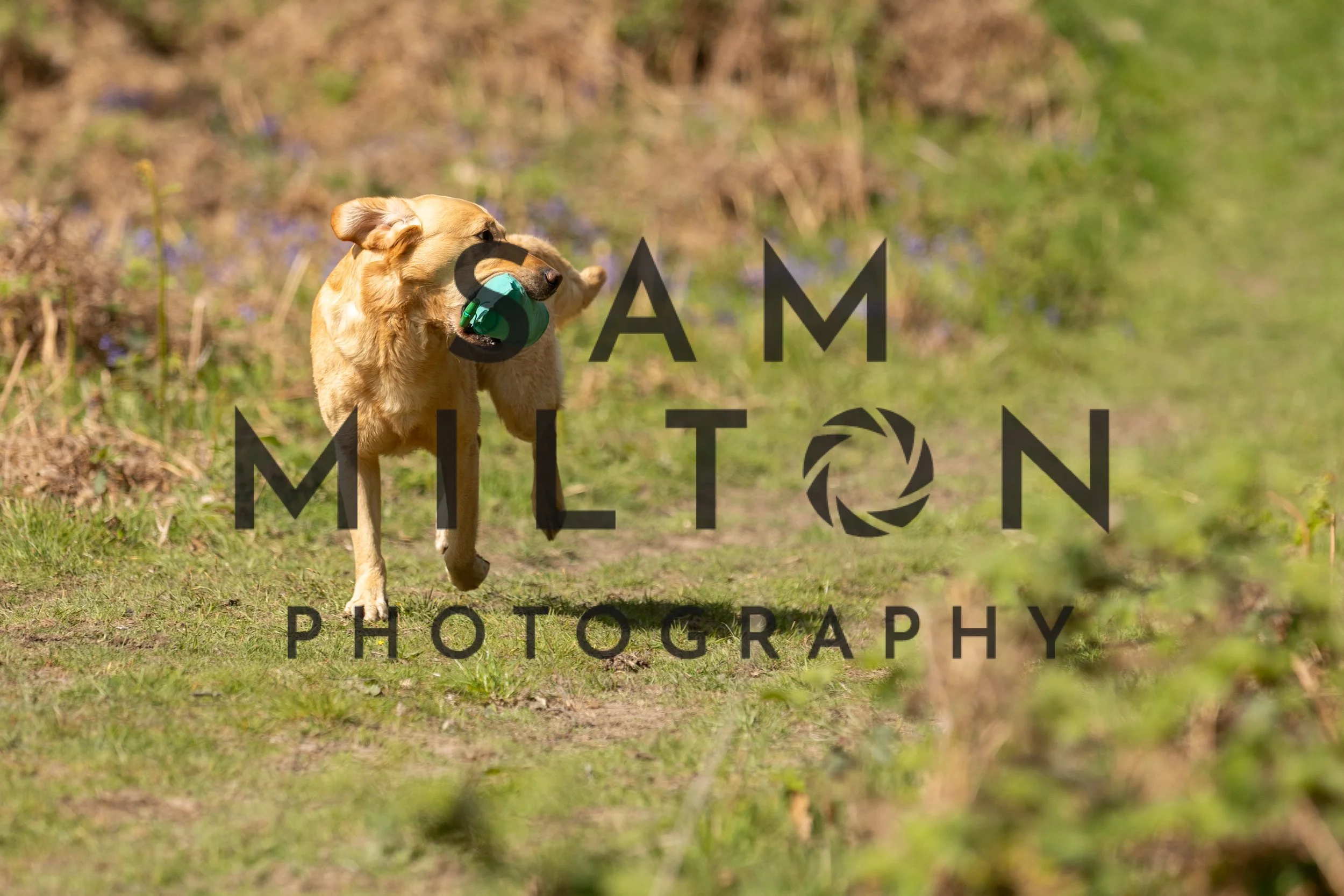 Gun Dog Challenge-284.jpg