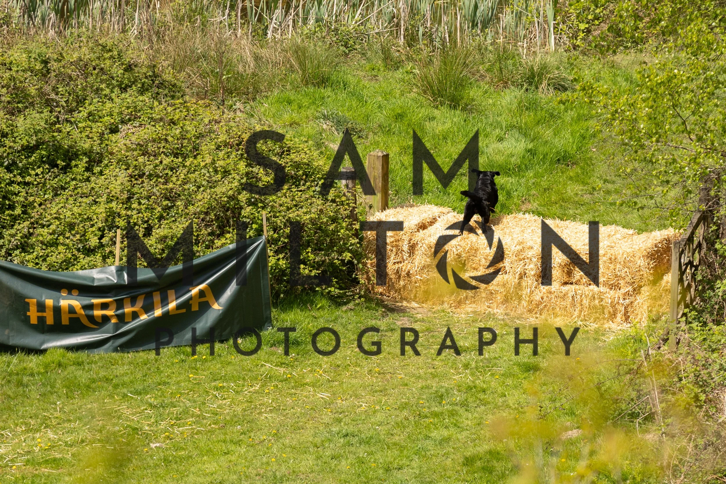 Gun Dog Challenge-276.jpg