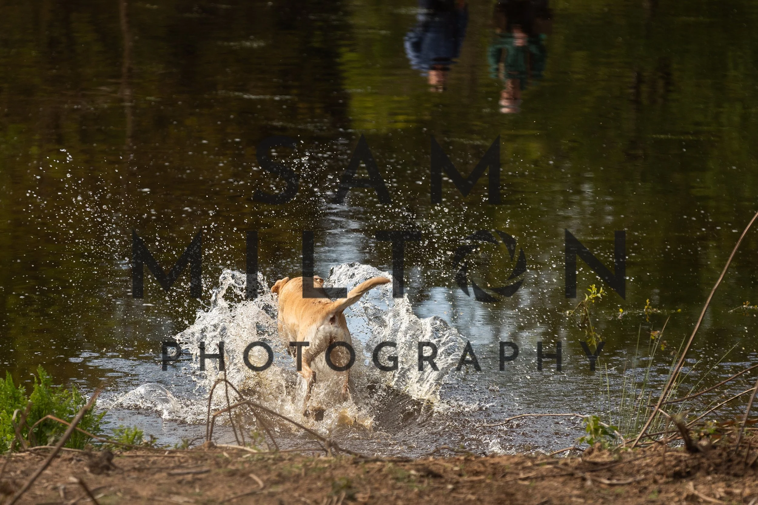 Gun Dog Challenge-53.jpg