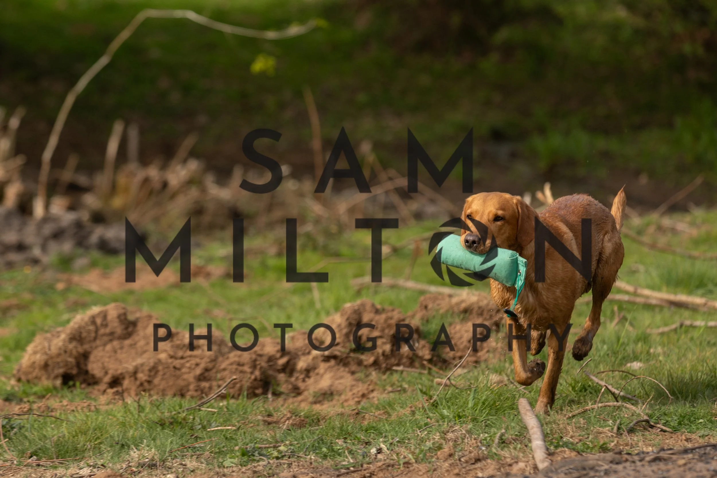 Gun Dog Challenge-42.jpg