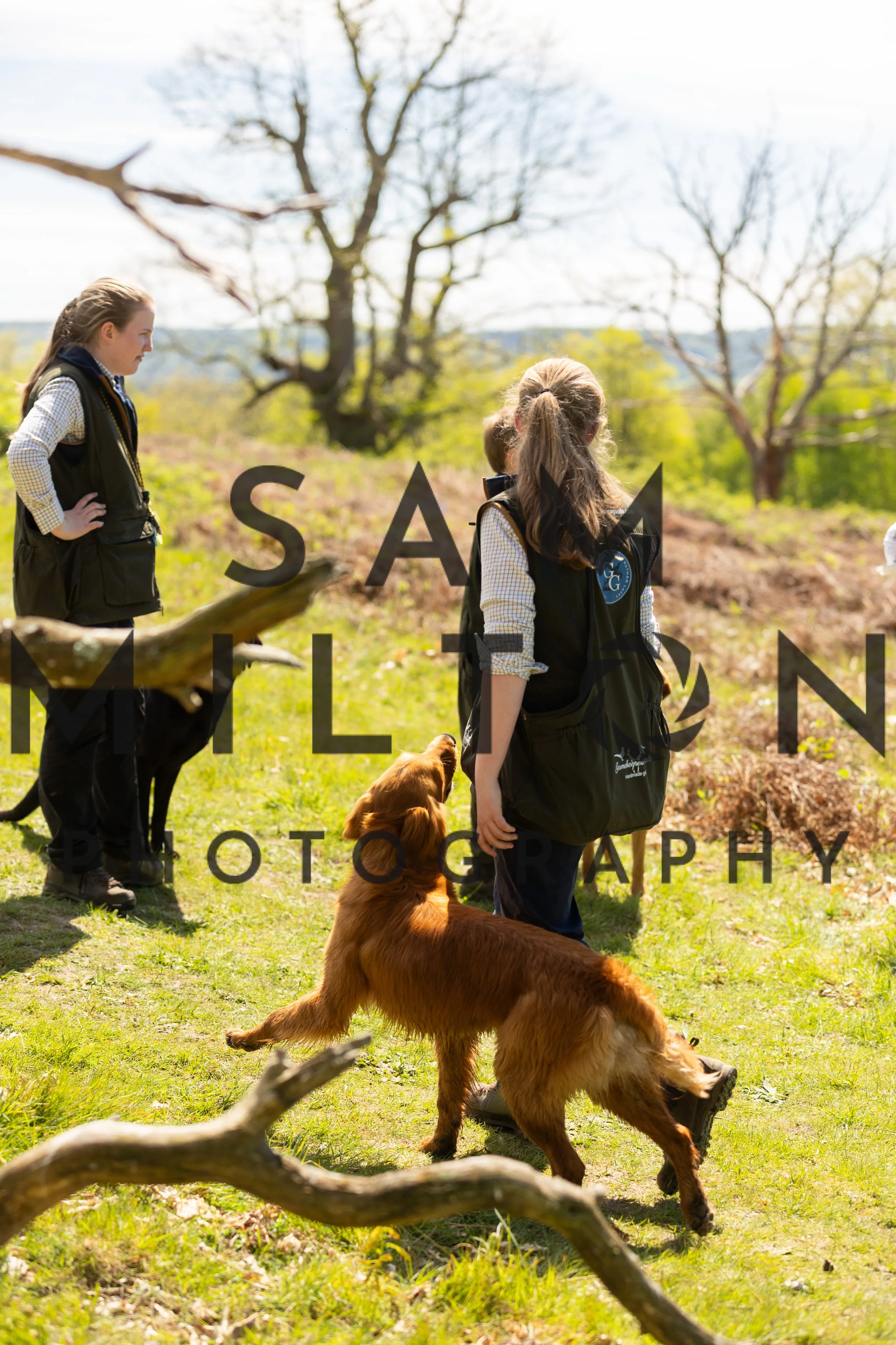 Gun Dog Challenge-325.jpg