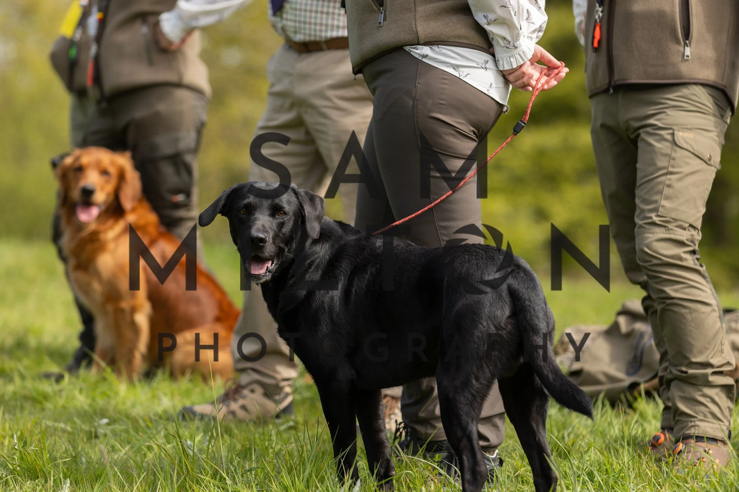 Gun Dog Challenge-185.jpg