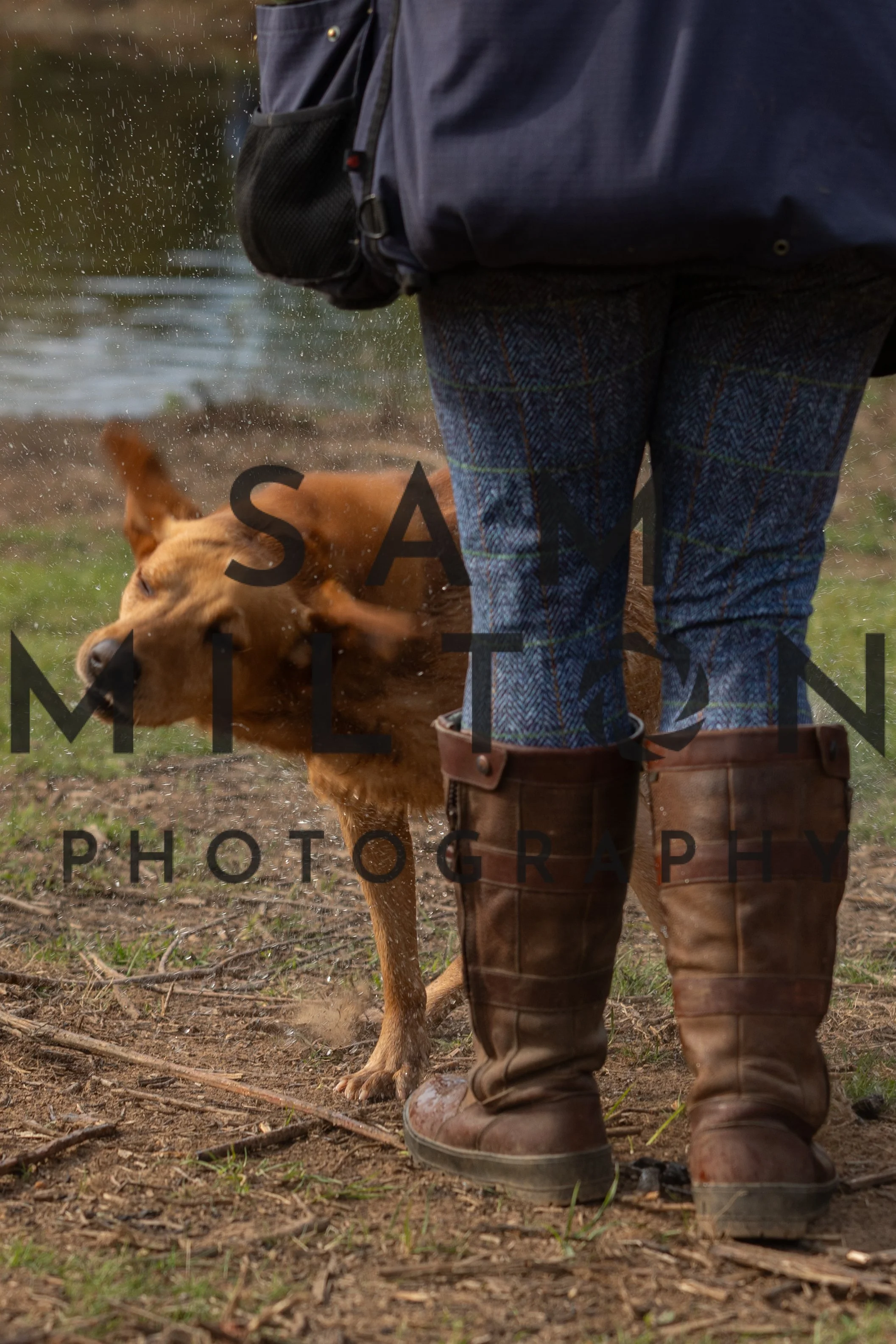 Gun Dog Challenge-28.jpg