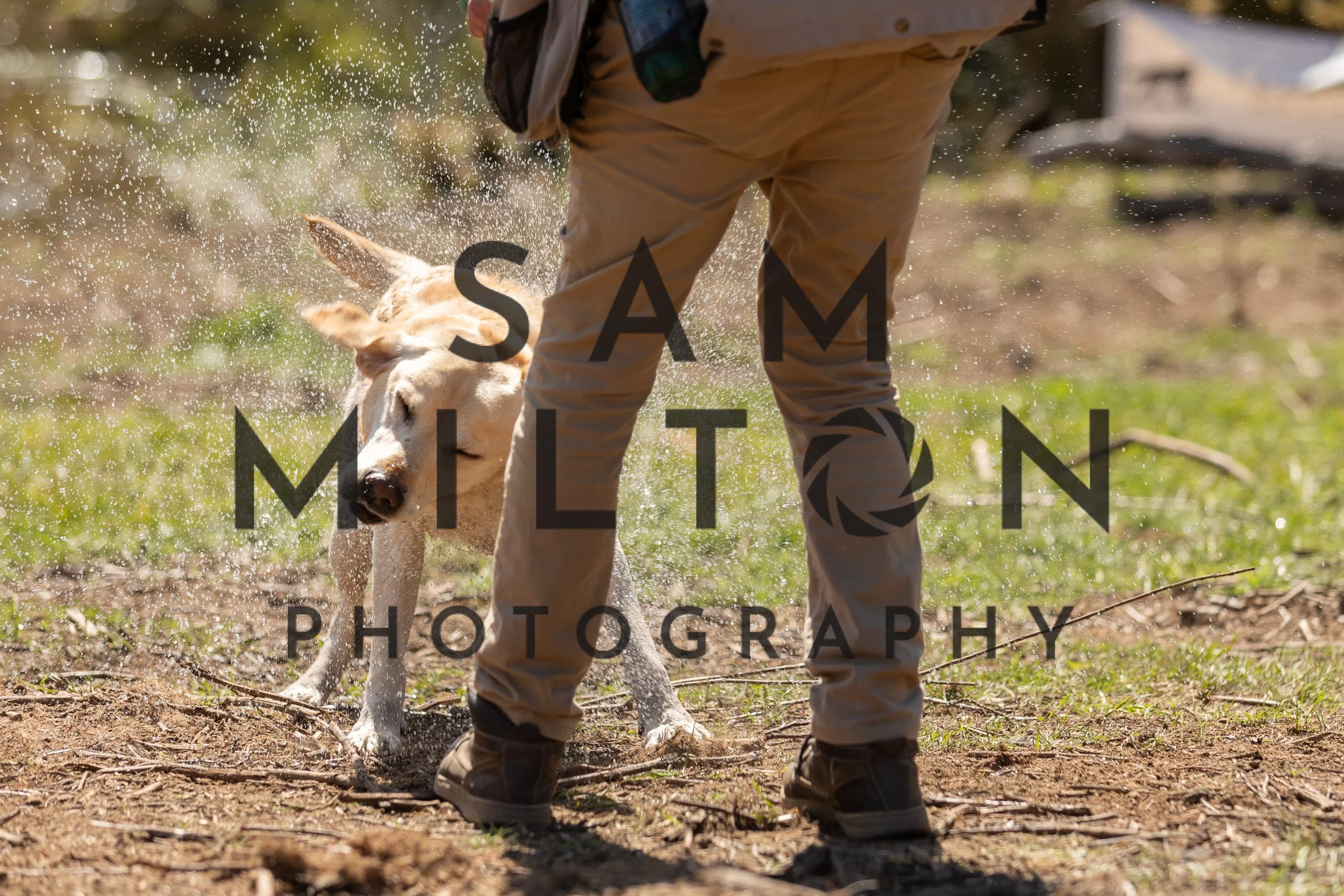 Gun Dog Challenge-368.jpg