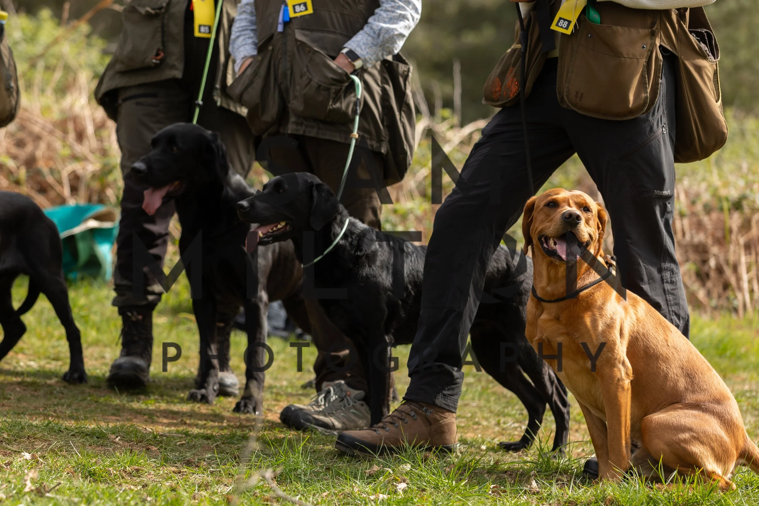 Gun Dog Challenge-115.jpg