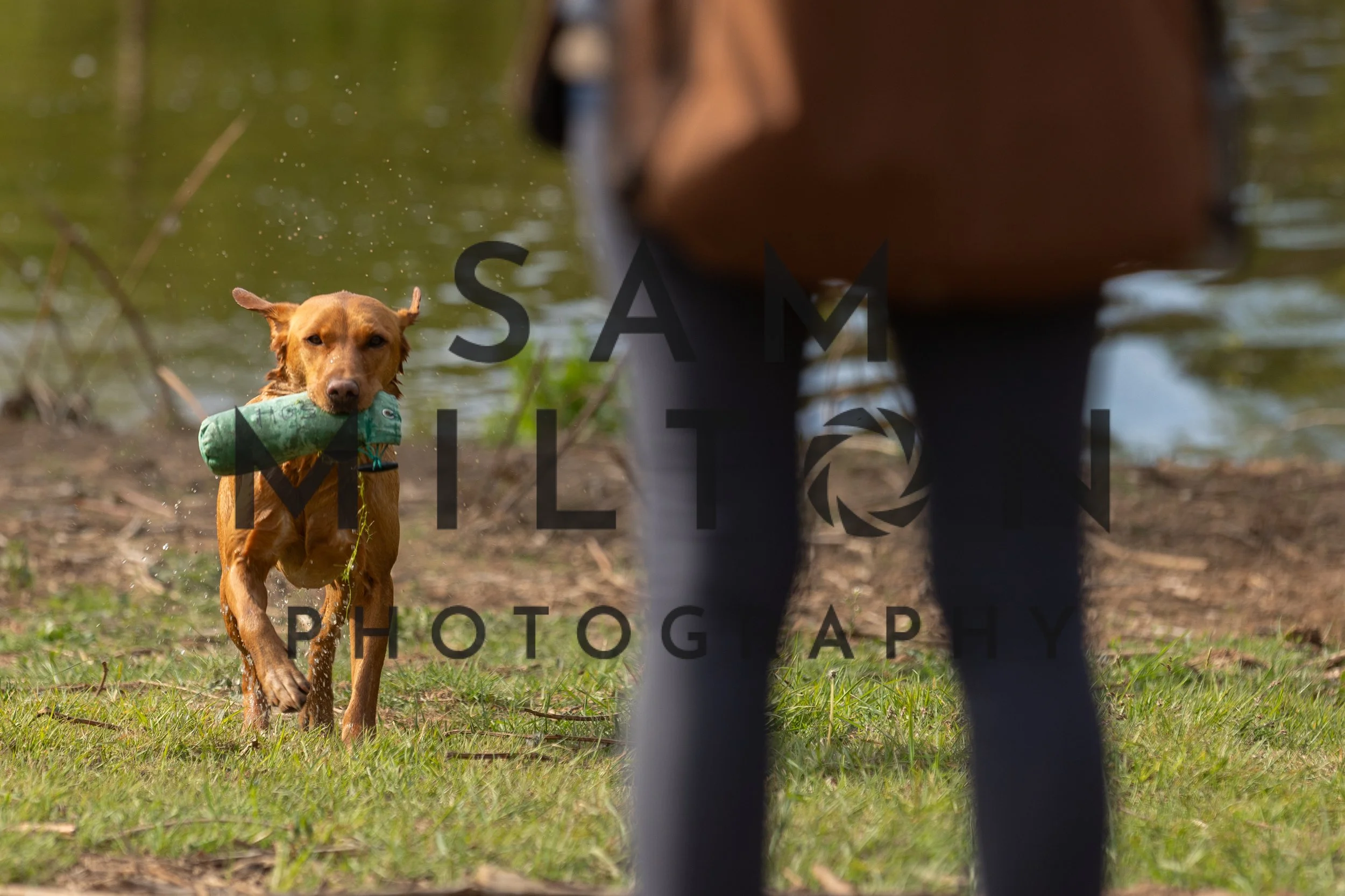 Gun Dog Challenge-32.jpg