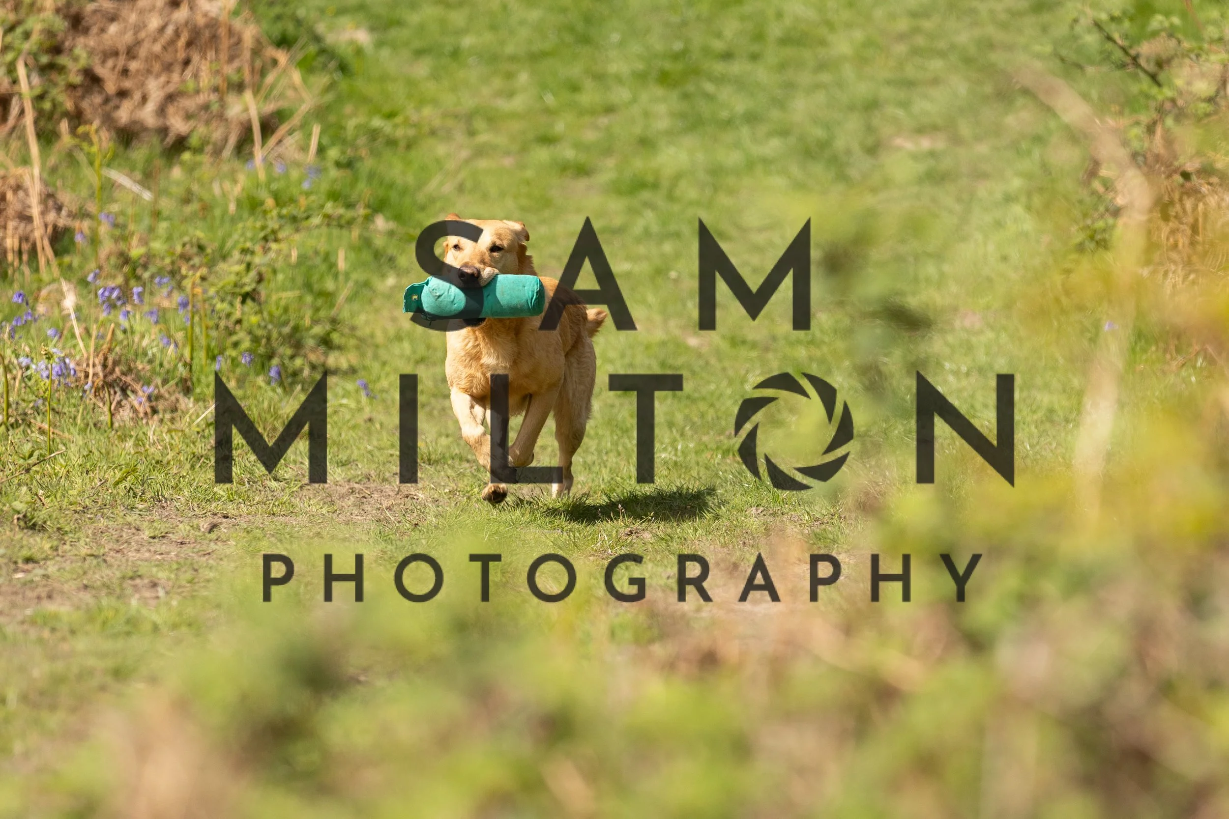 Gun Dog Challenge-283.jpg