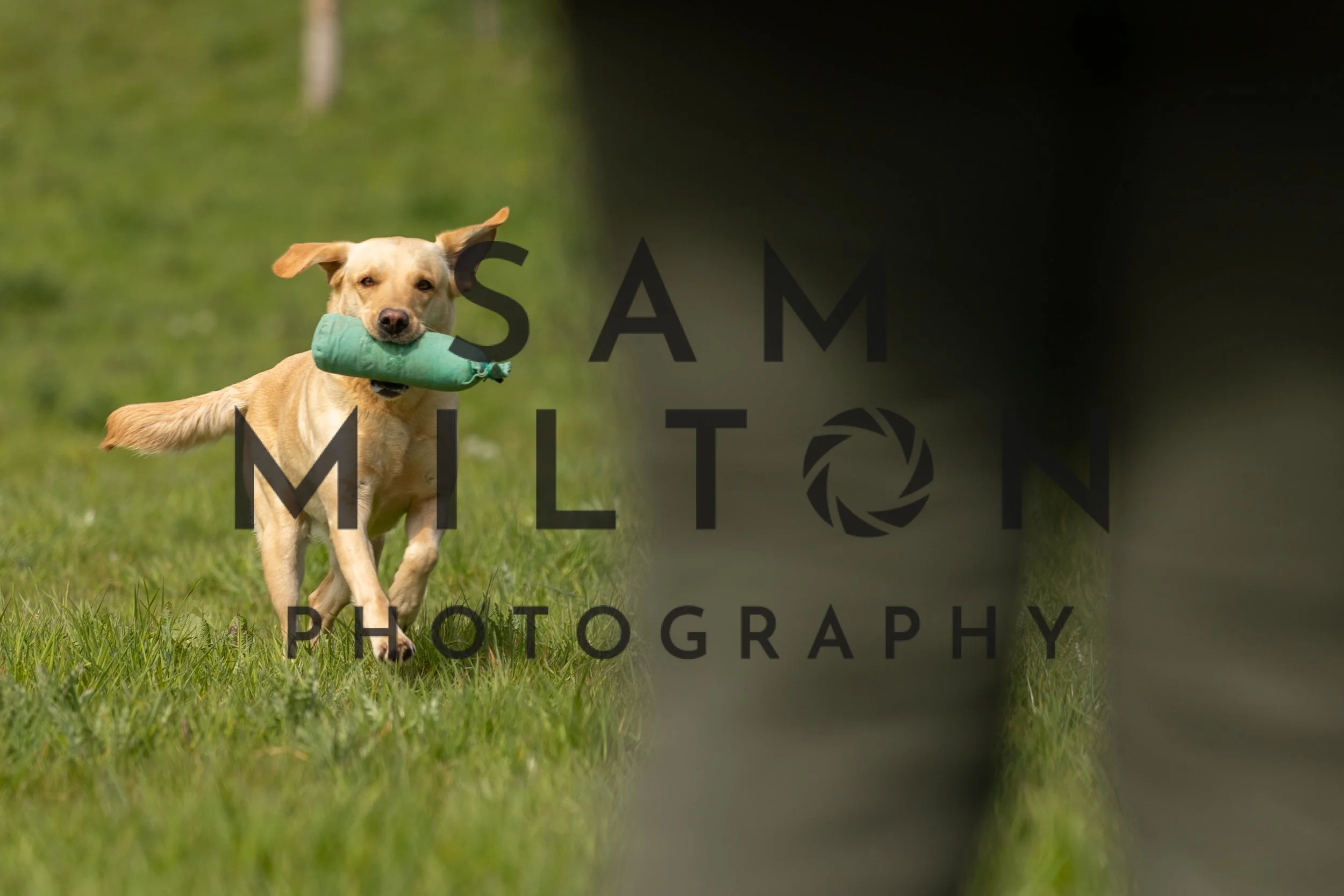 Gun Dog Challenge-172.jpg