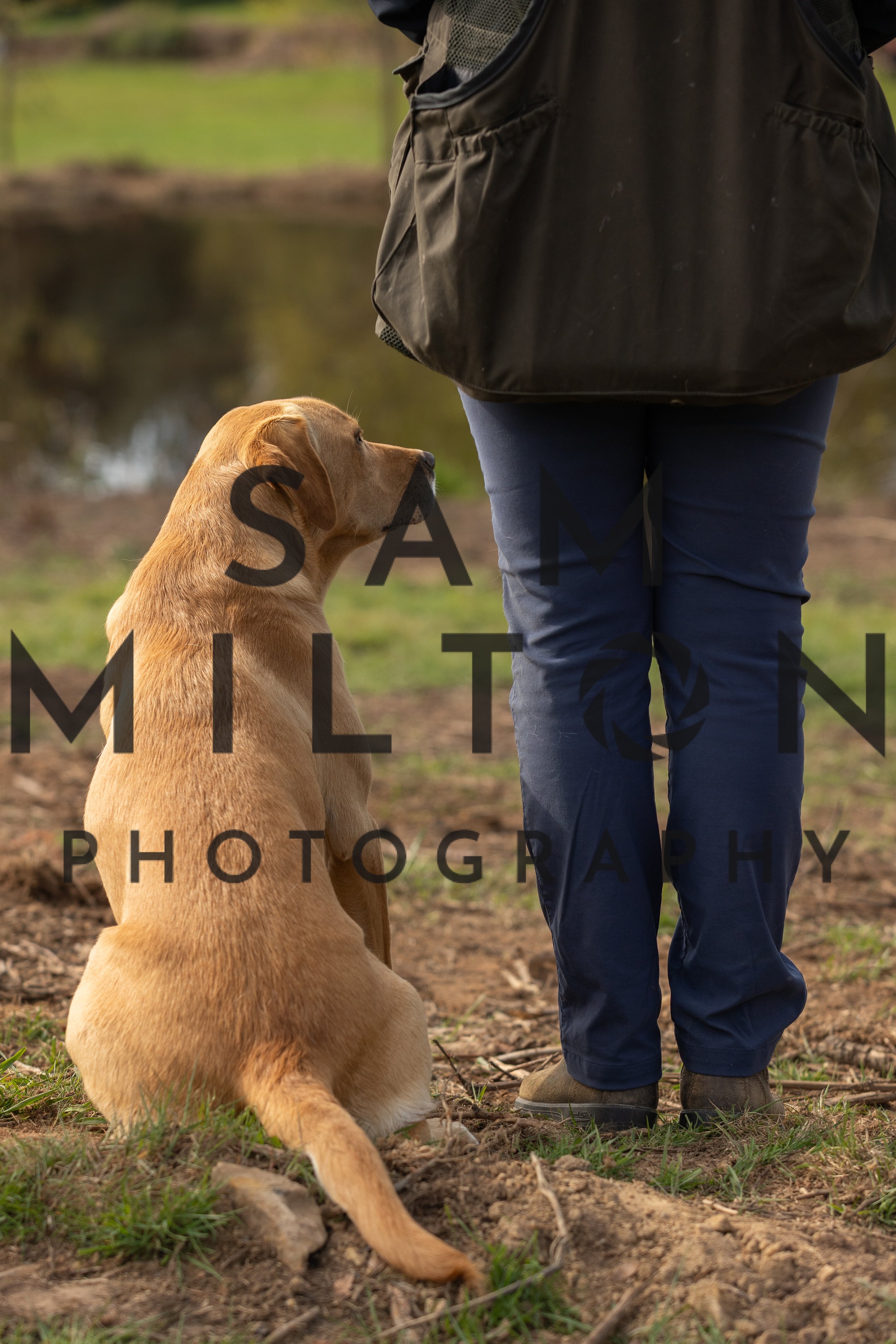 Gun Dog Challenge-68.jpg