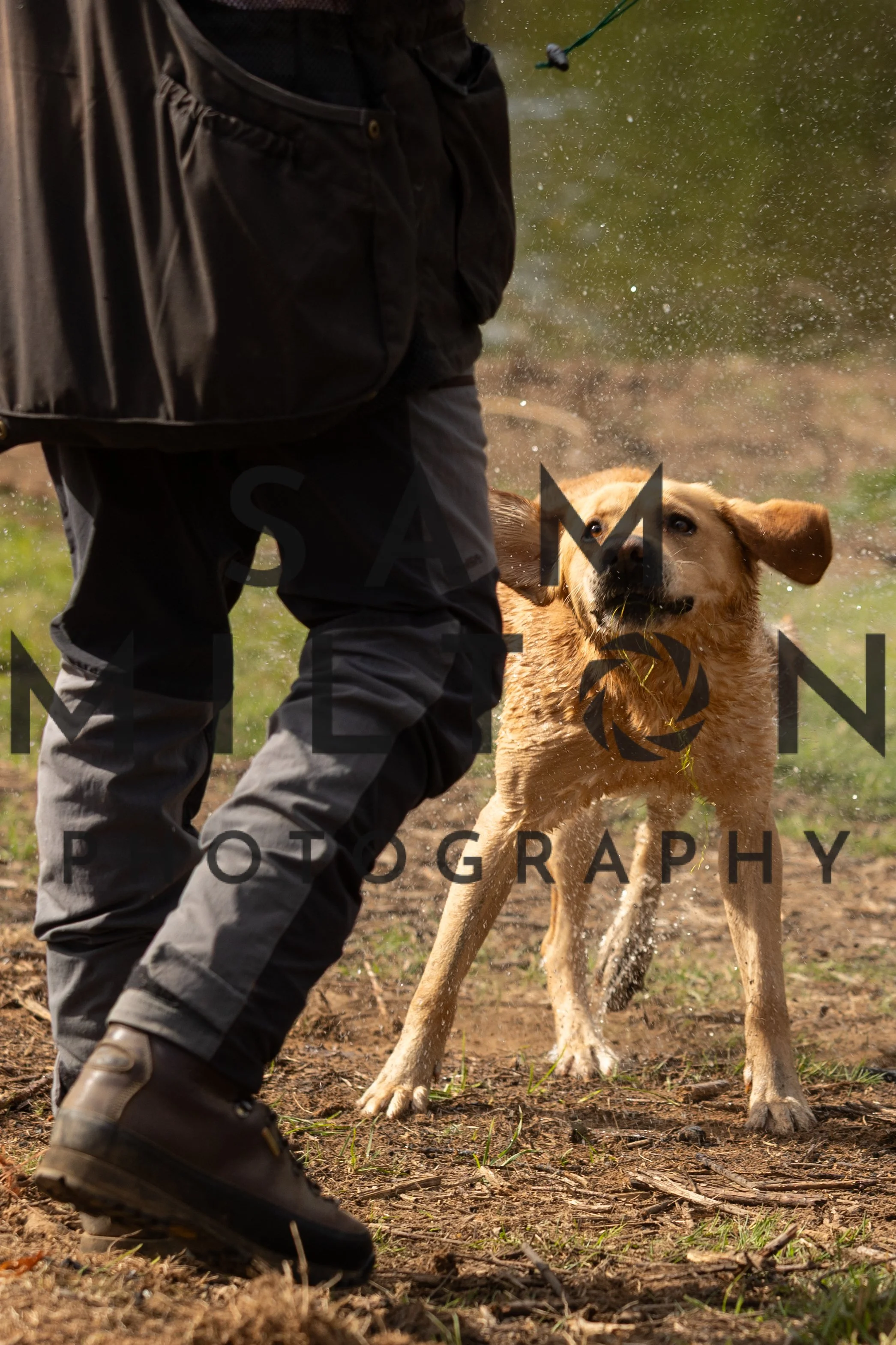 Gun Dog Challenge-104.jpg