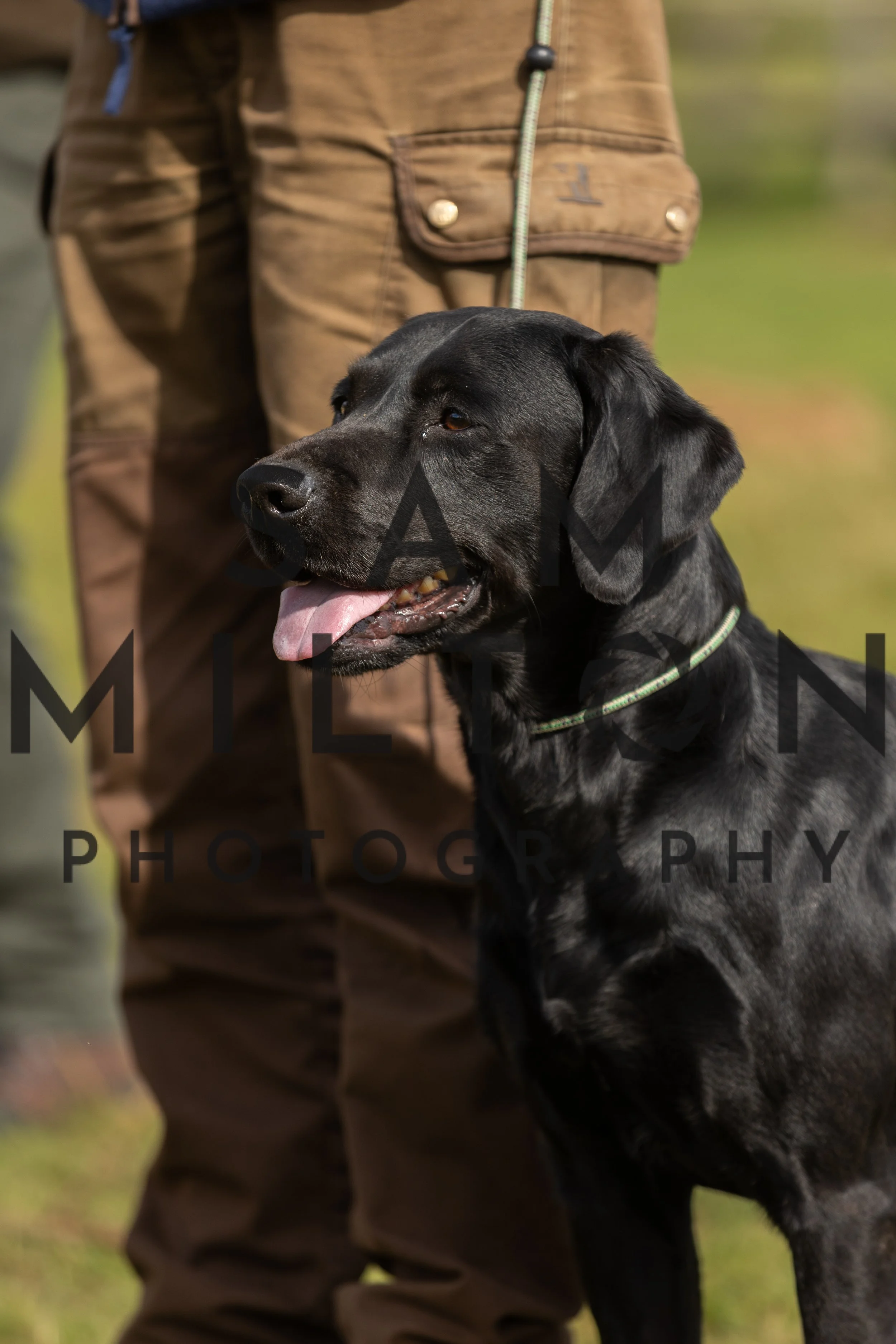 Gun Dog Challenge-91.jpg