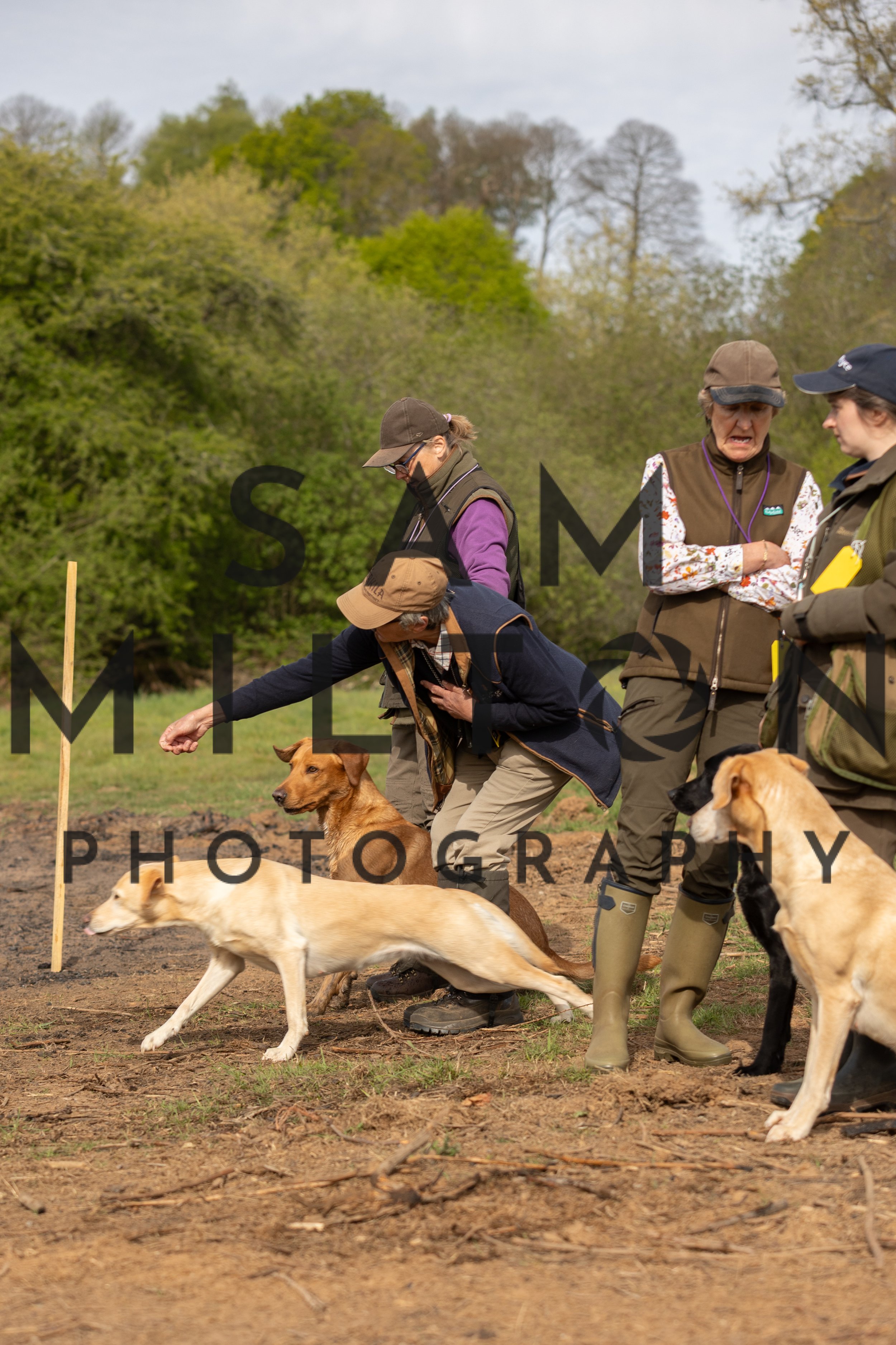 Gun Dog Challenge-43.jpg
