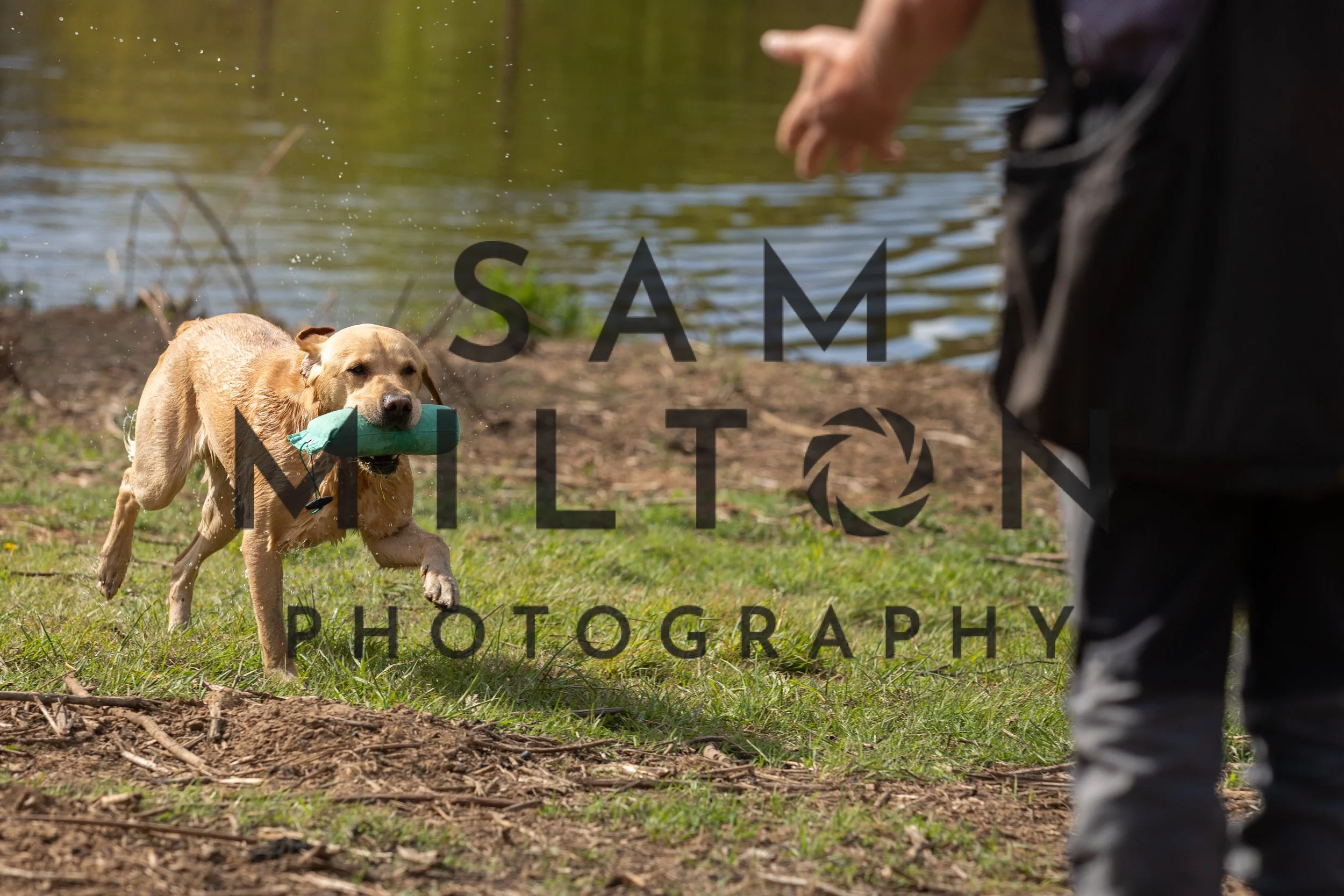 Gun Dog Challenge-101.jpg