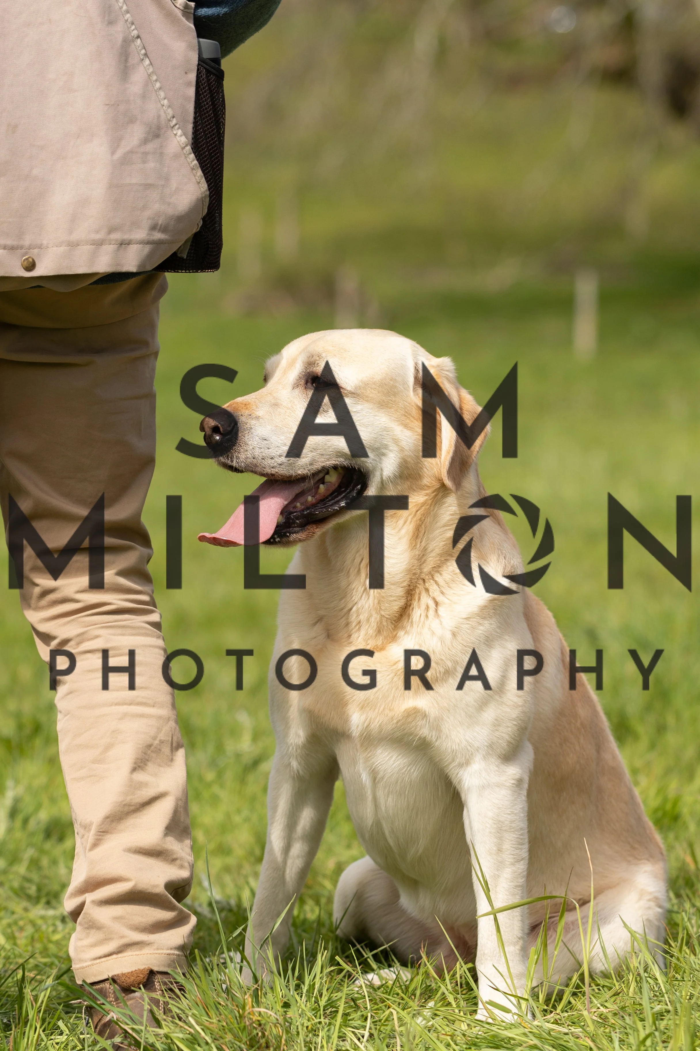 Gun Dog Challenge-179.jpg