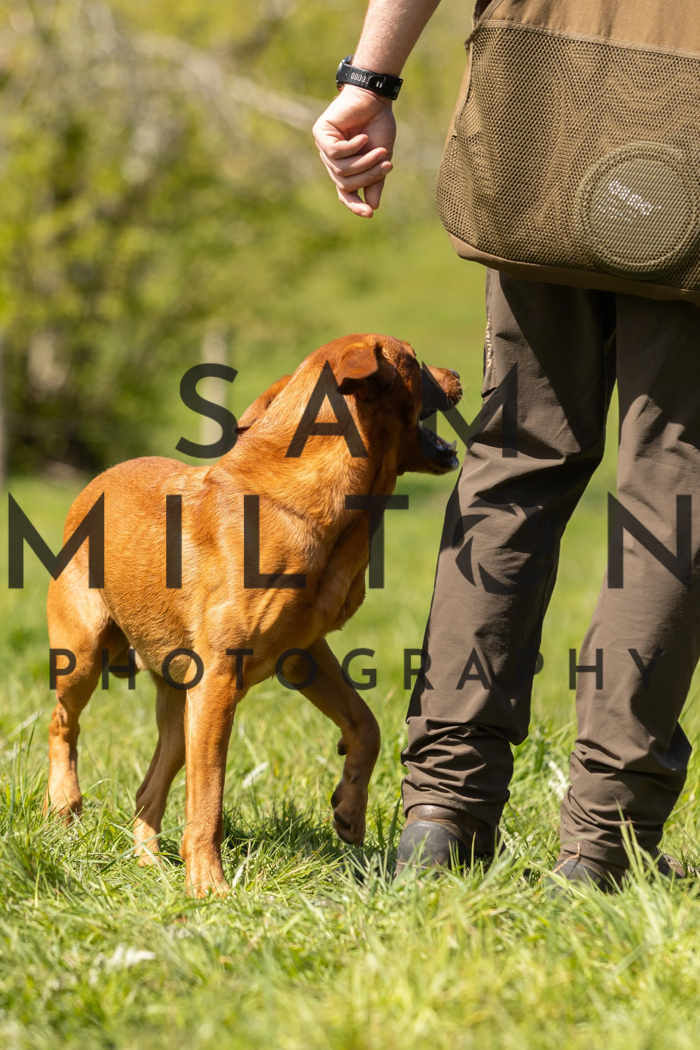 Gun Dog Challenge-238.jpg