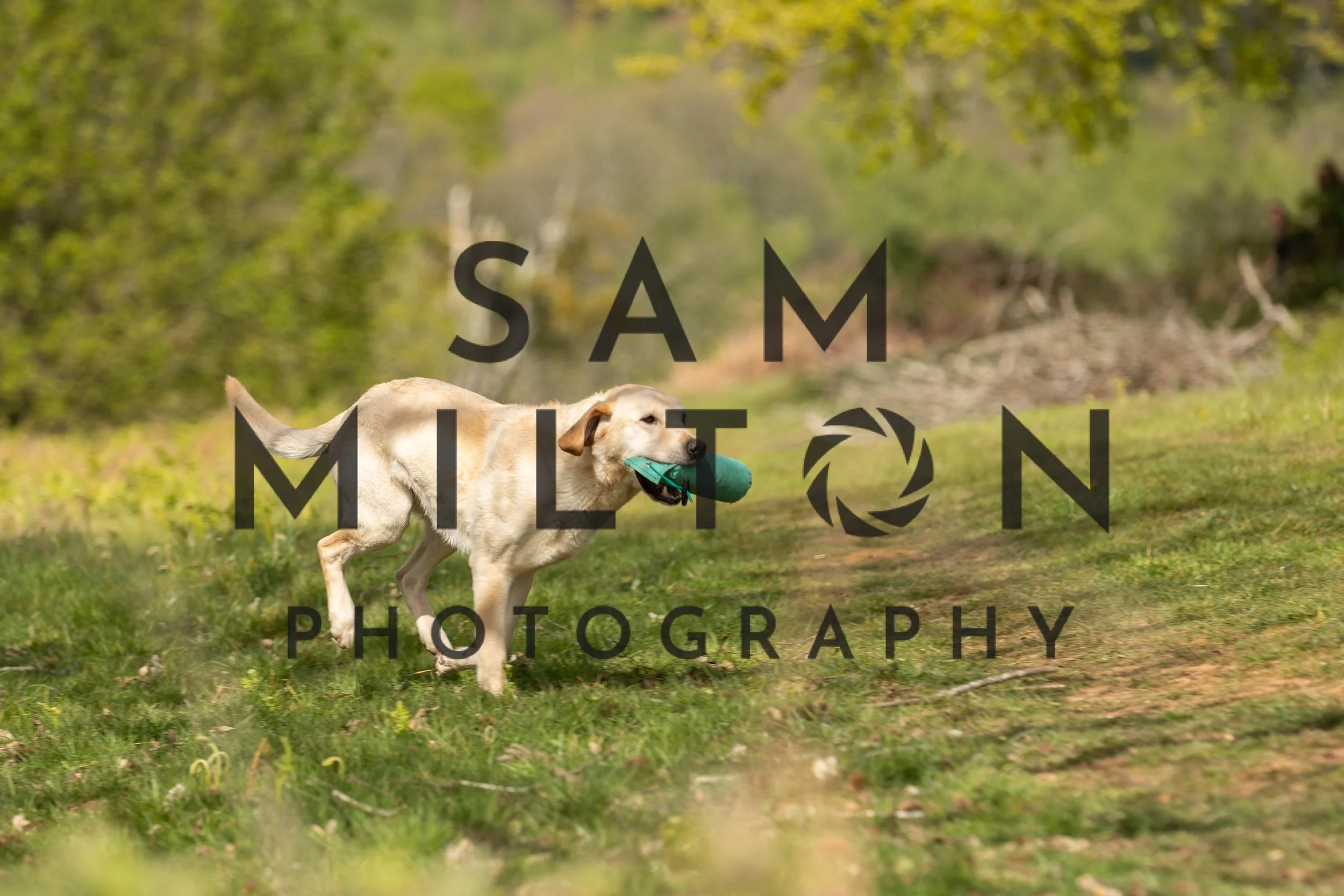 Gun Dog Challenge-139.jpg