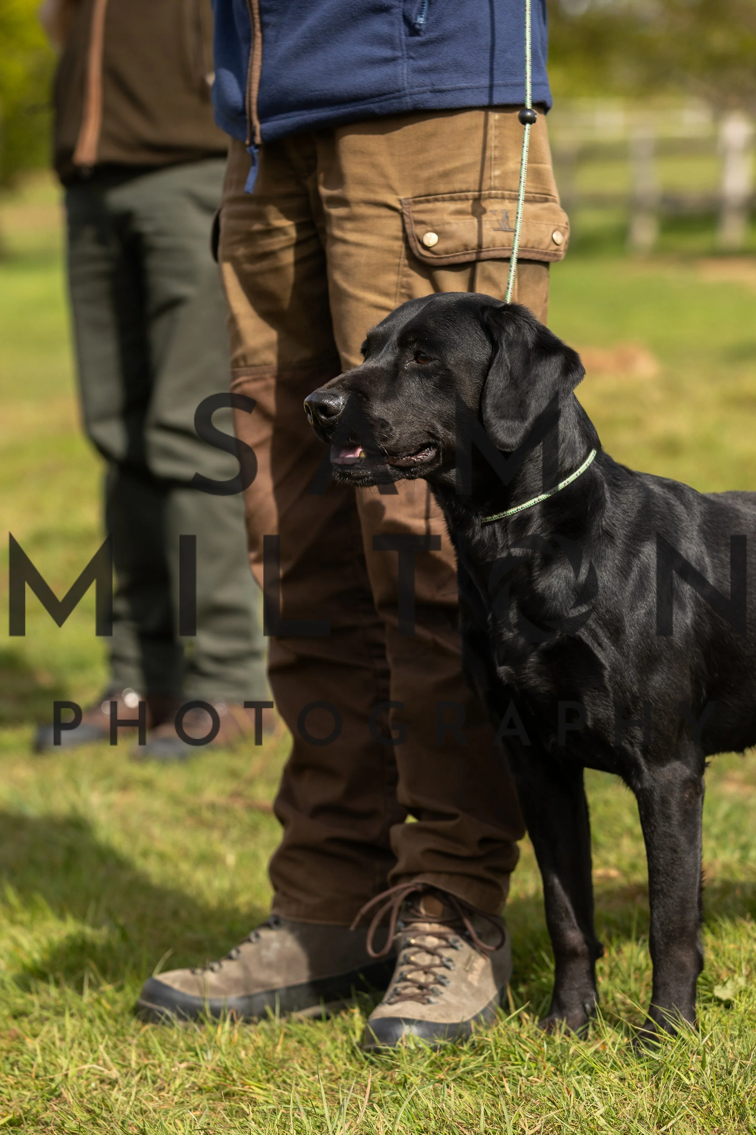 Gun Dog Challenge-90.jpg