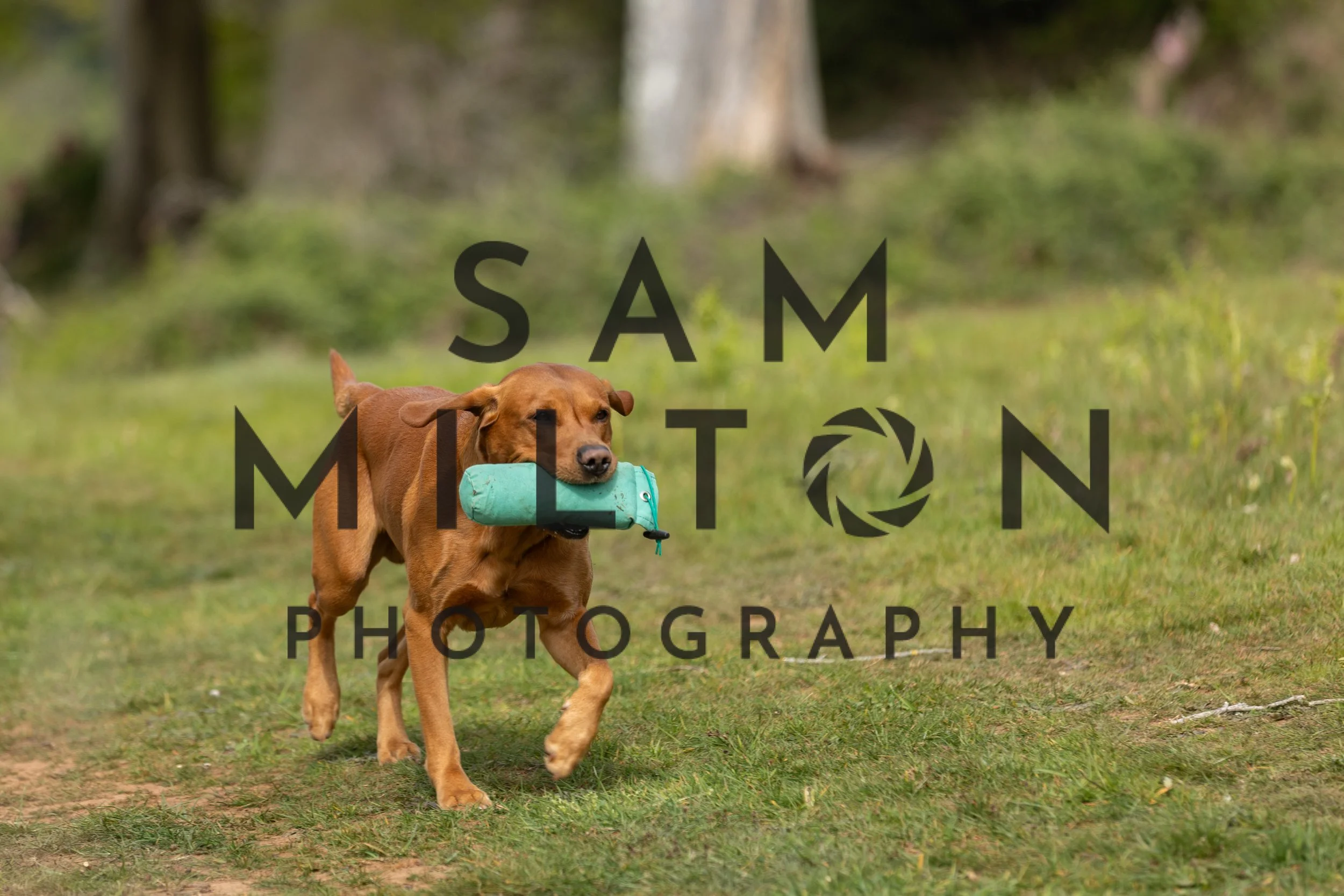 Gun Dog Challenge-122.jpg