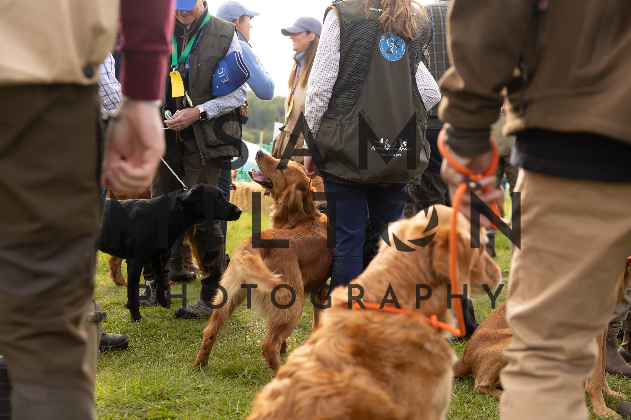 Gun Dog Challenge-10.jpg