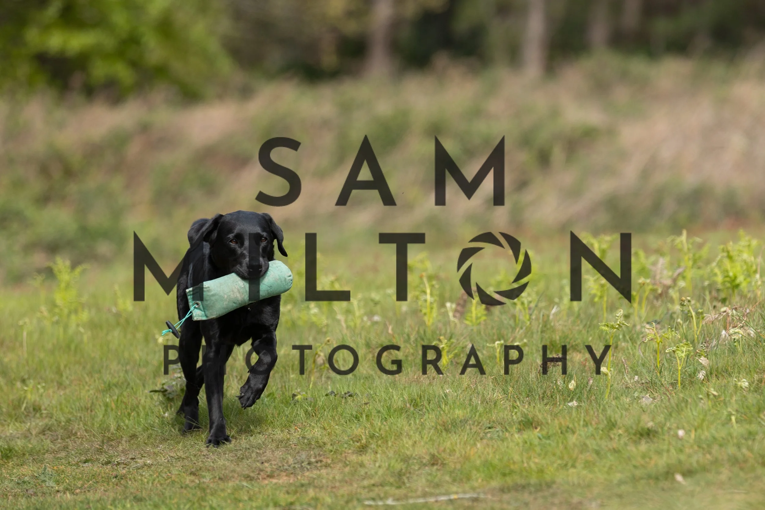 Gun Dog Challenge-117.jpg