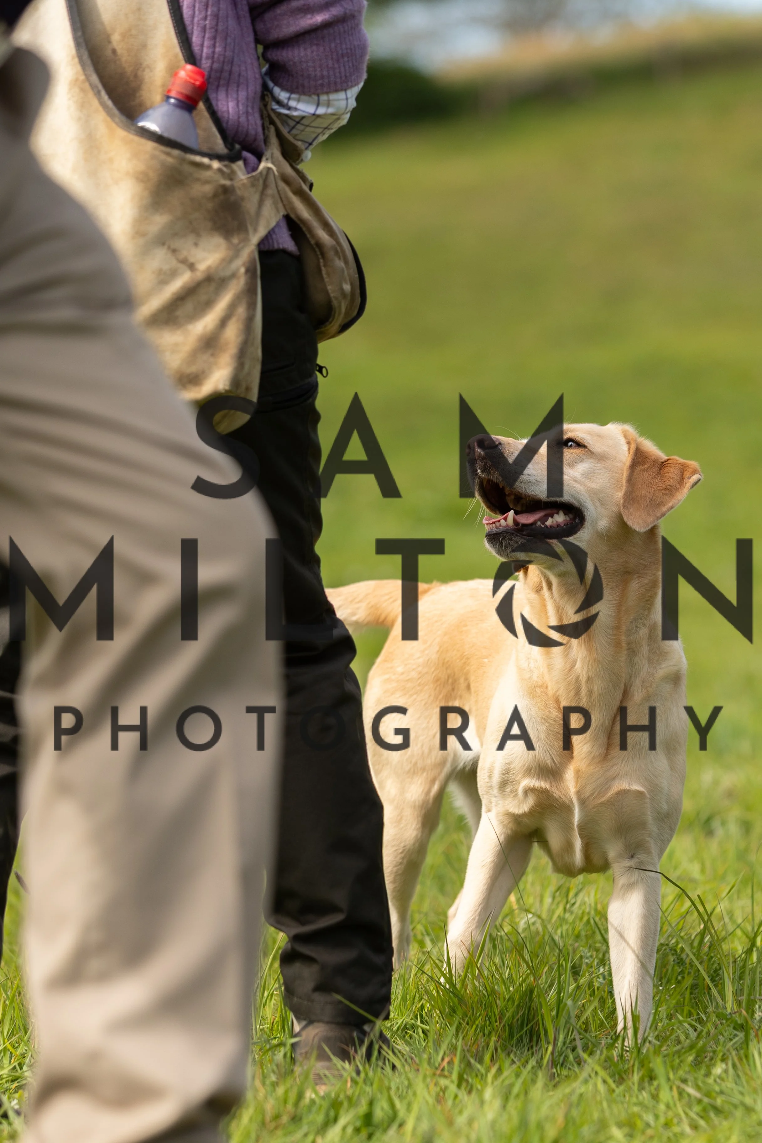 Gun Dog Challenge-181.jpg