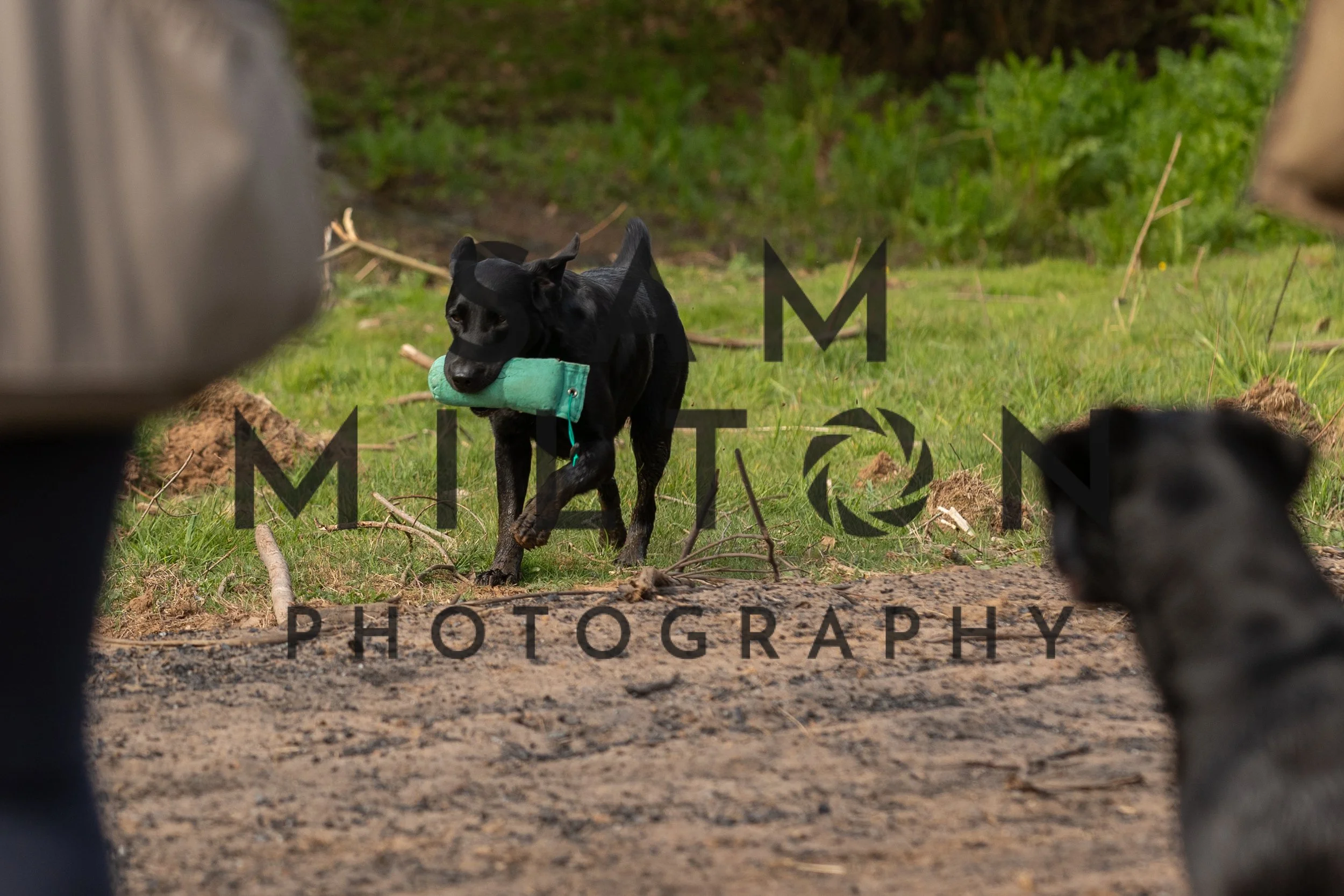 Gun Dog Challenge-74.jpg