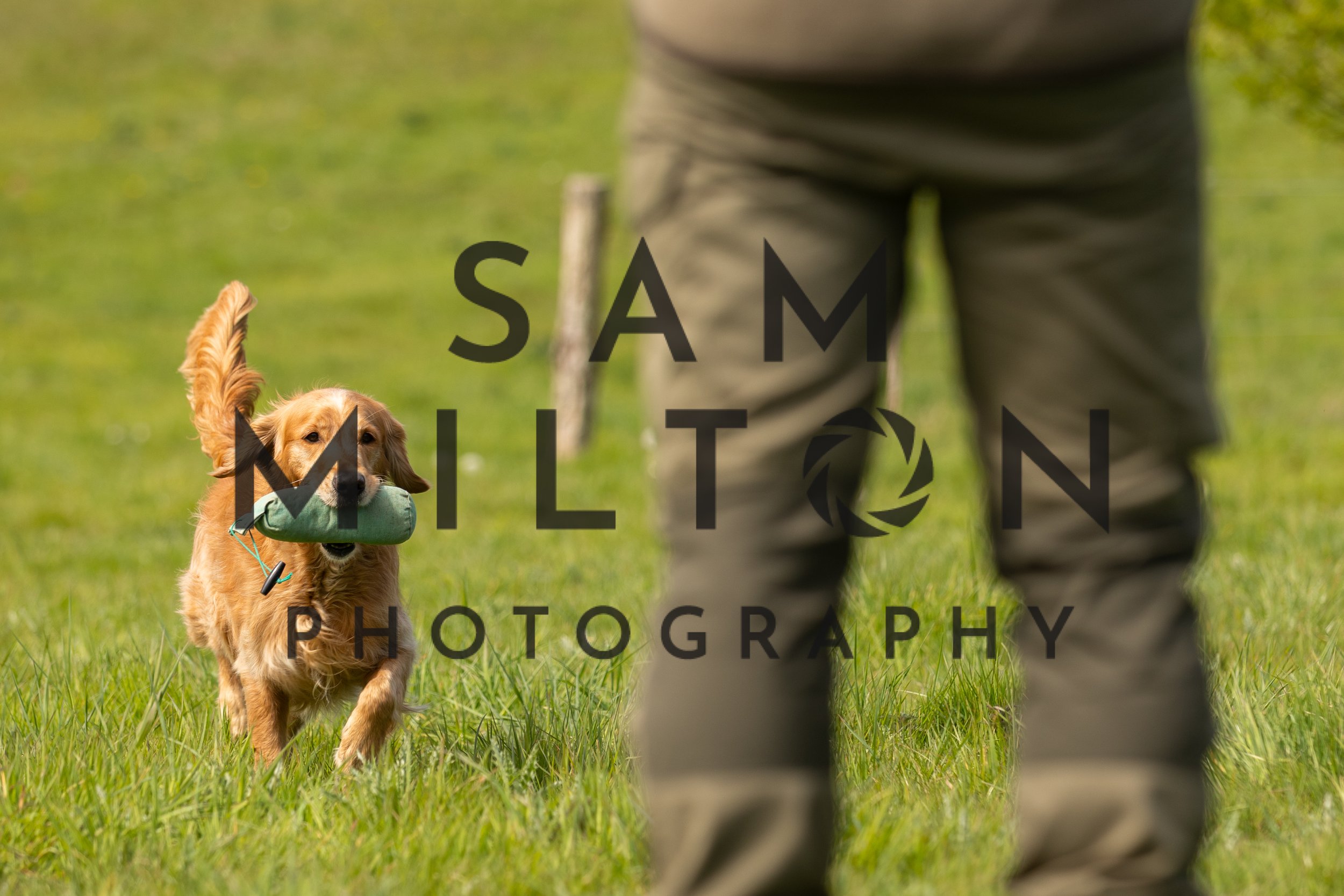 Gun Dog Challenge-189.jpg