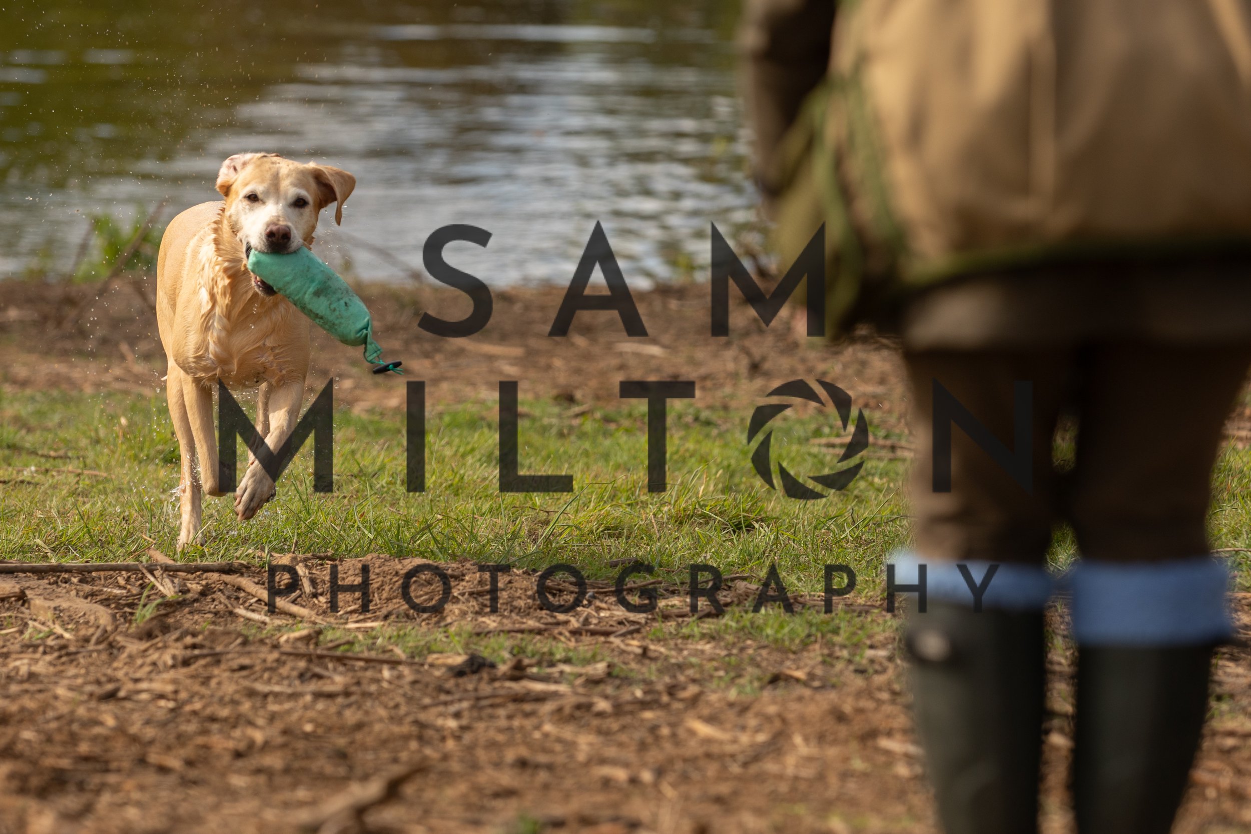 Gun Dog Challenge-57.jpg