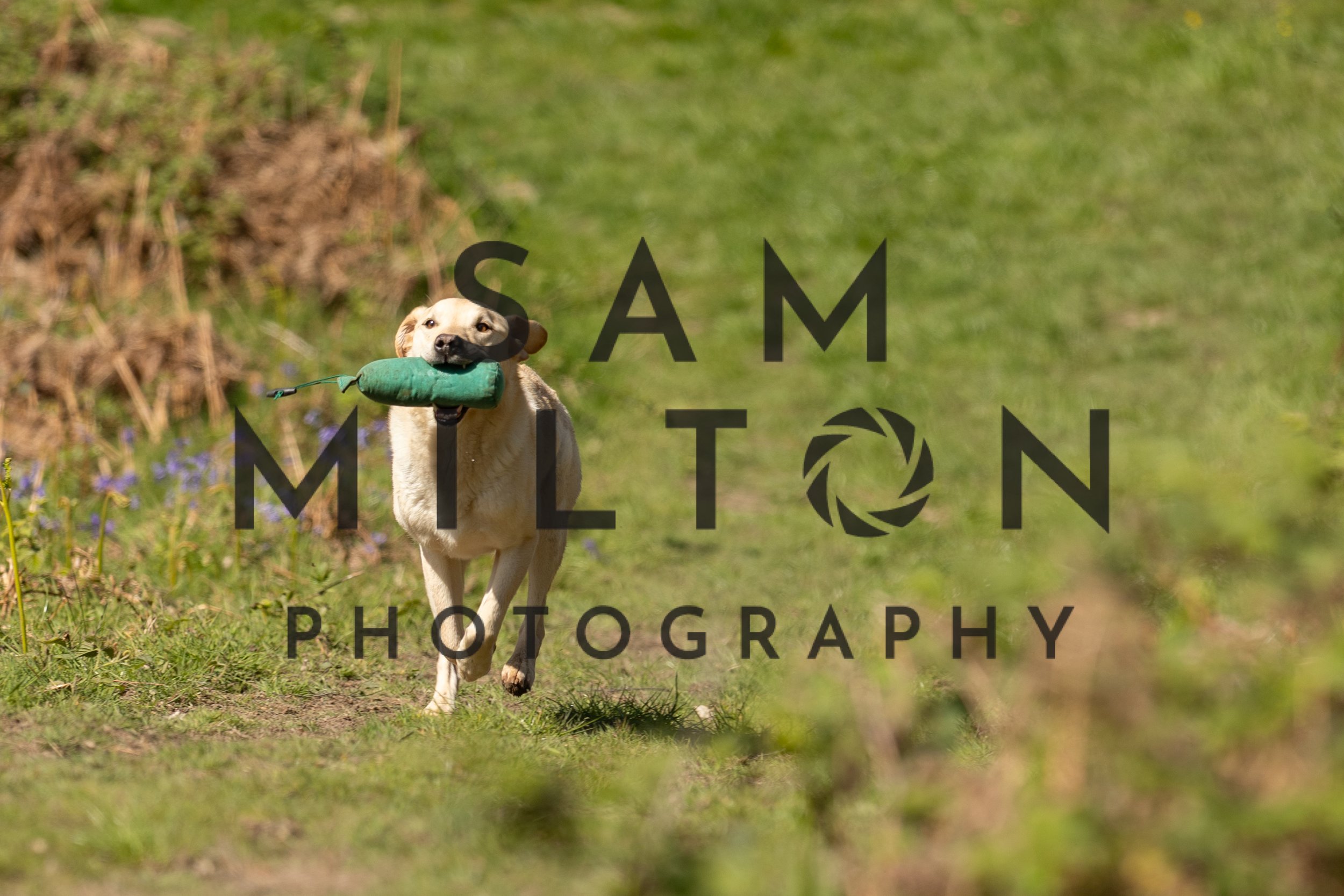 Gun Dog Challenge-257.jpg