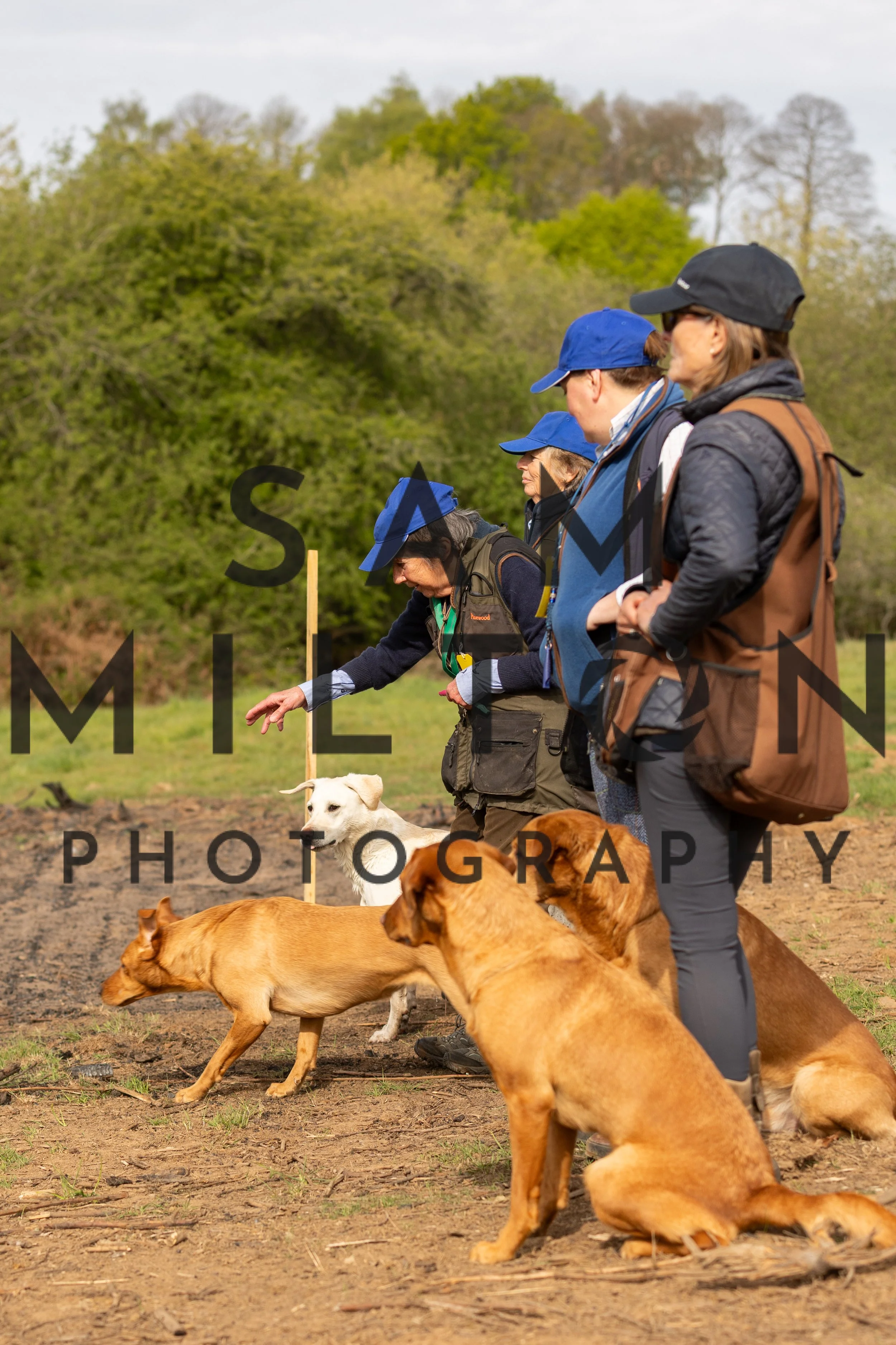 Gun Dog Challenge-22.jpg