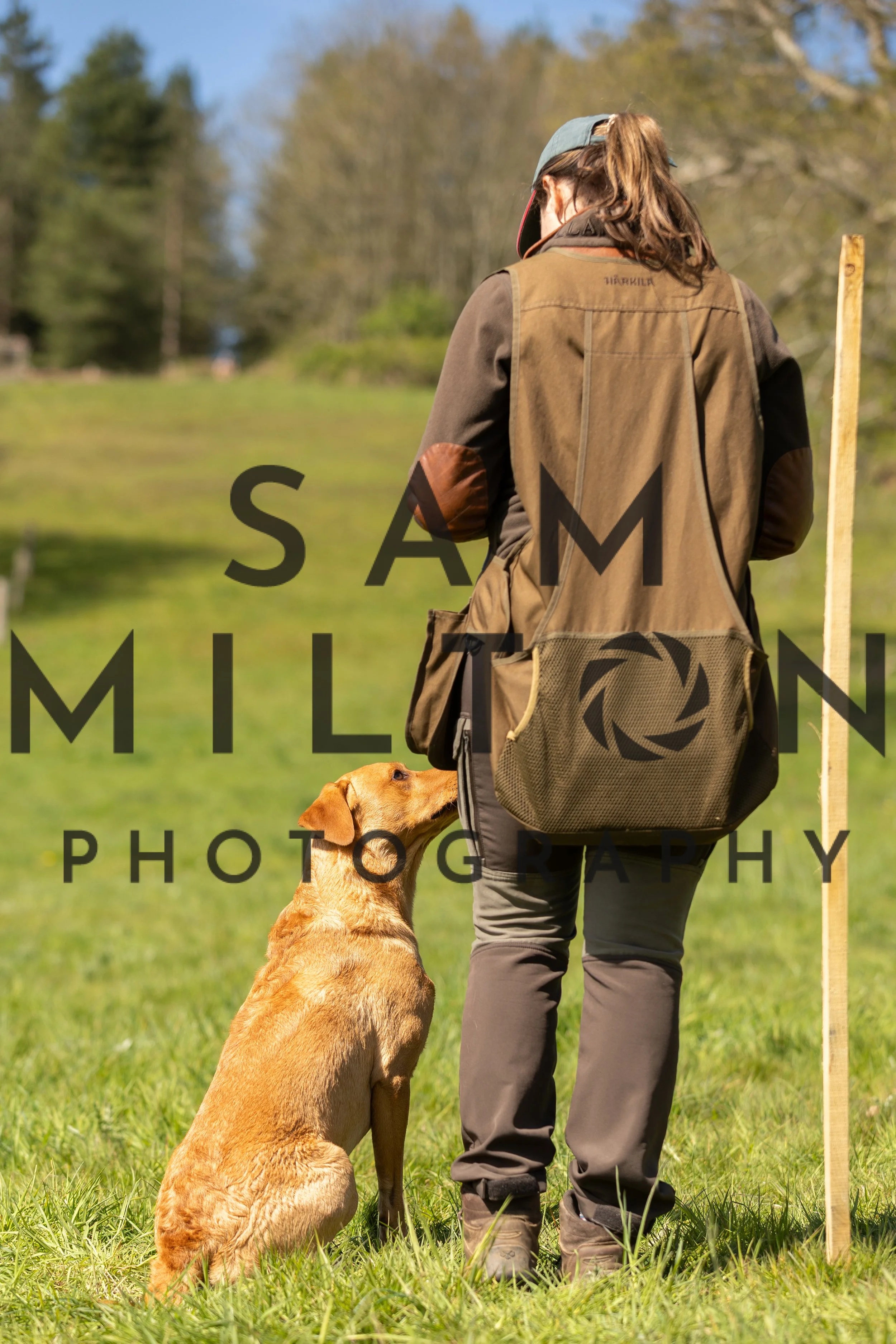 Gun Dog Challenge-239.jpg