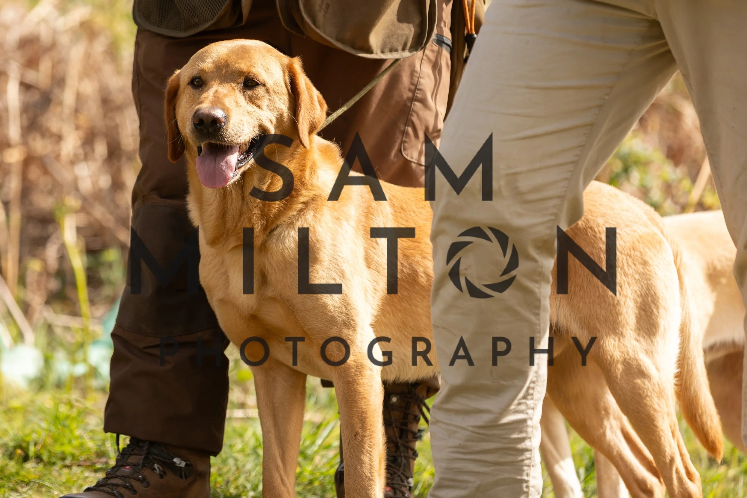 Gun Dog Challenge-136.jpg