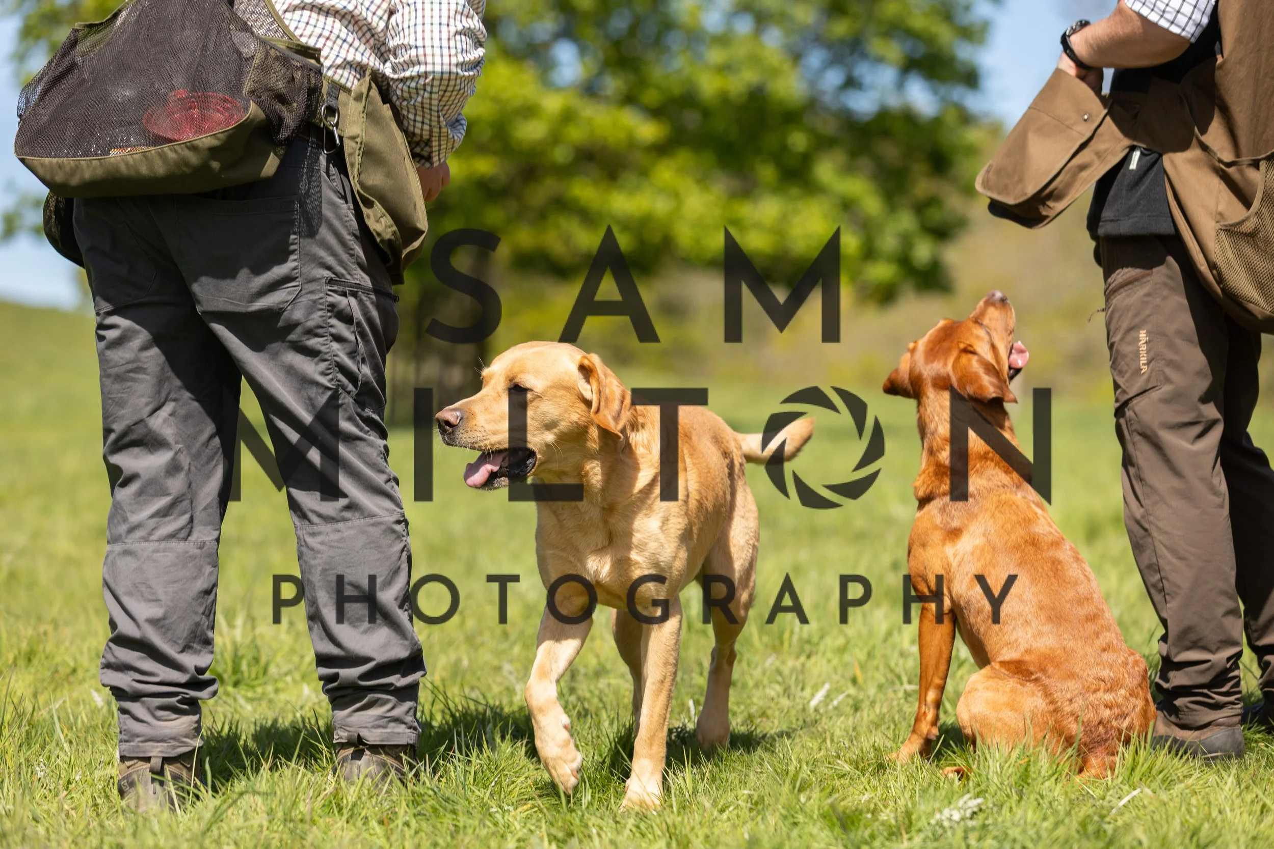 Gun Dog Challenge-244.jpg