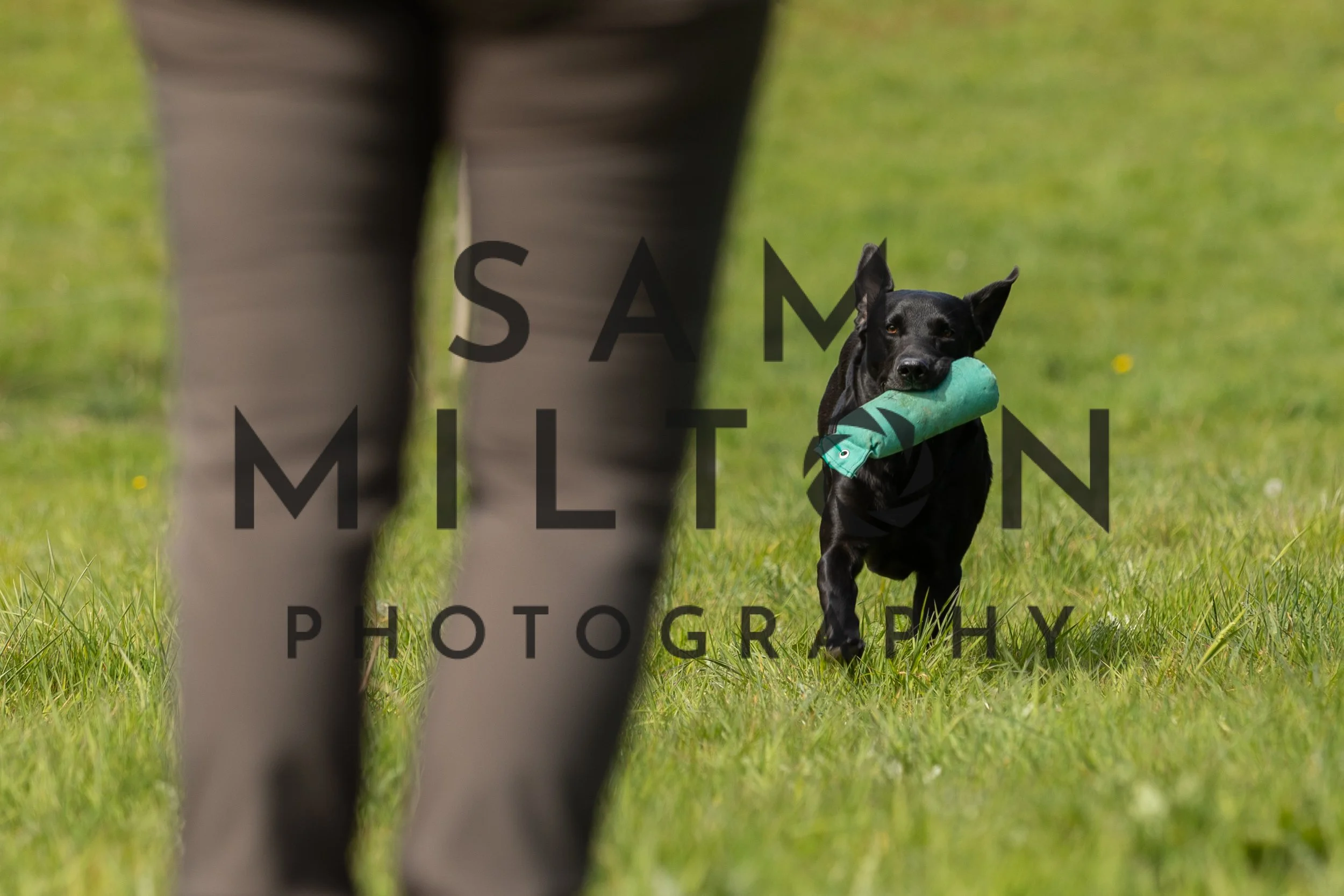 Gun Dog Challenge-199.jpg