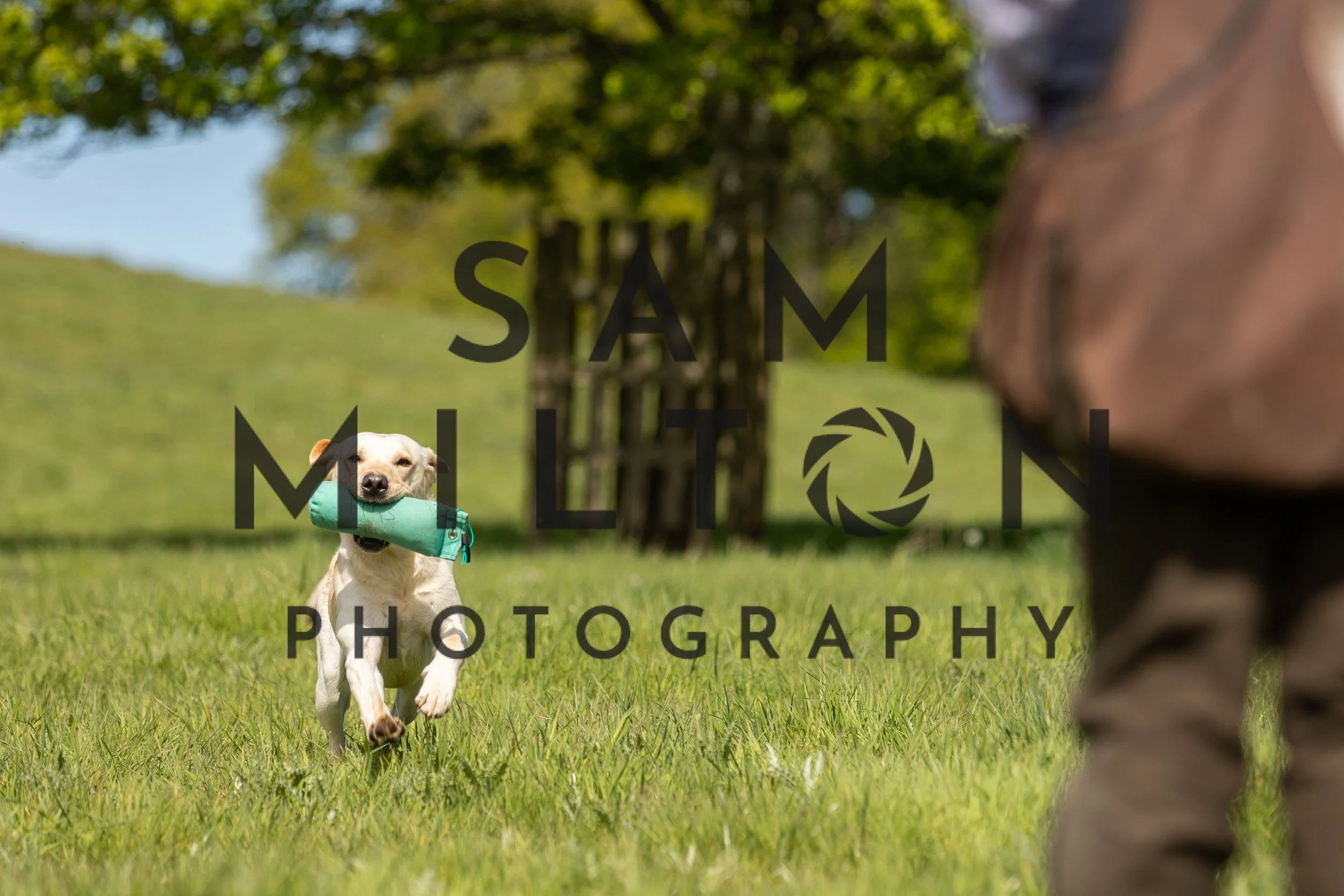 Gun Dog Challenge-208.jpg