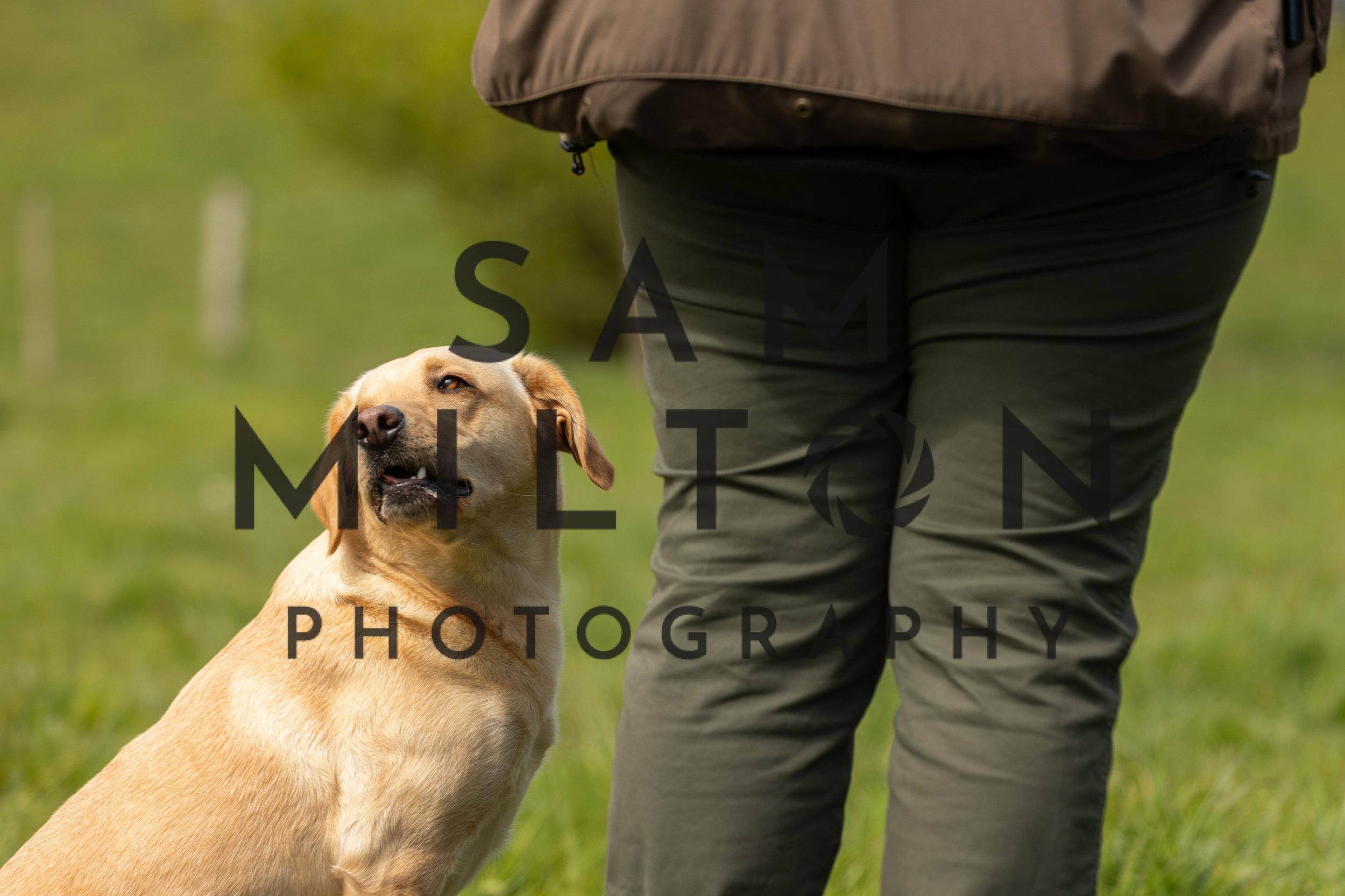 Gun Dog Challenge-175.jpg