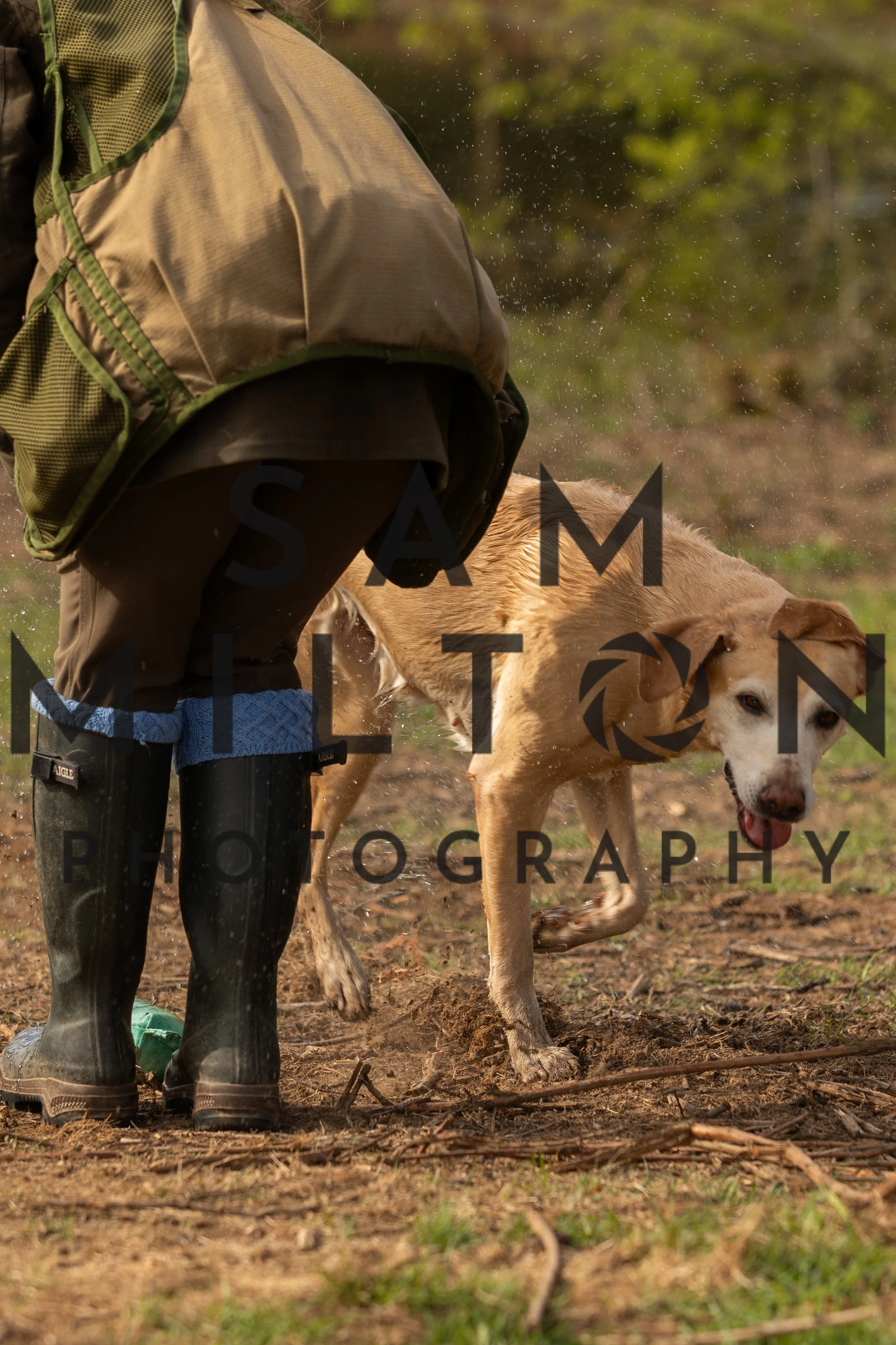 Gun Dog Challenge-59.jpg