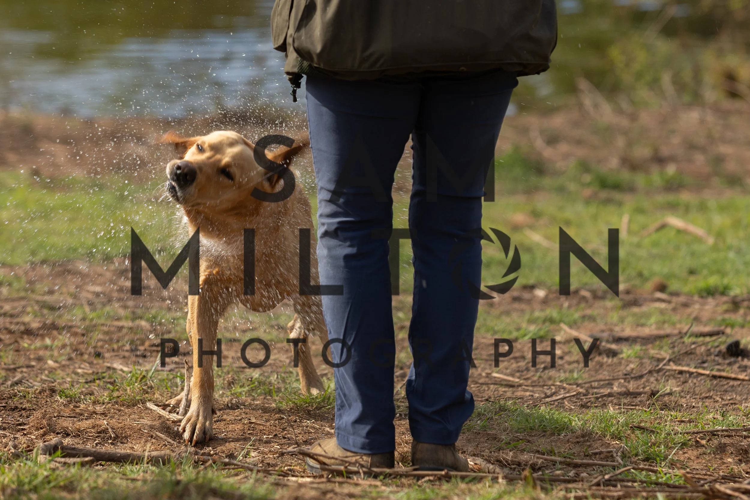 Gun Dog Challenge-81.jpg