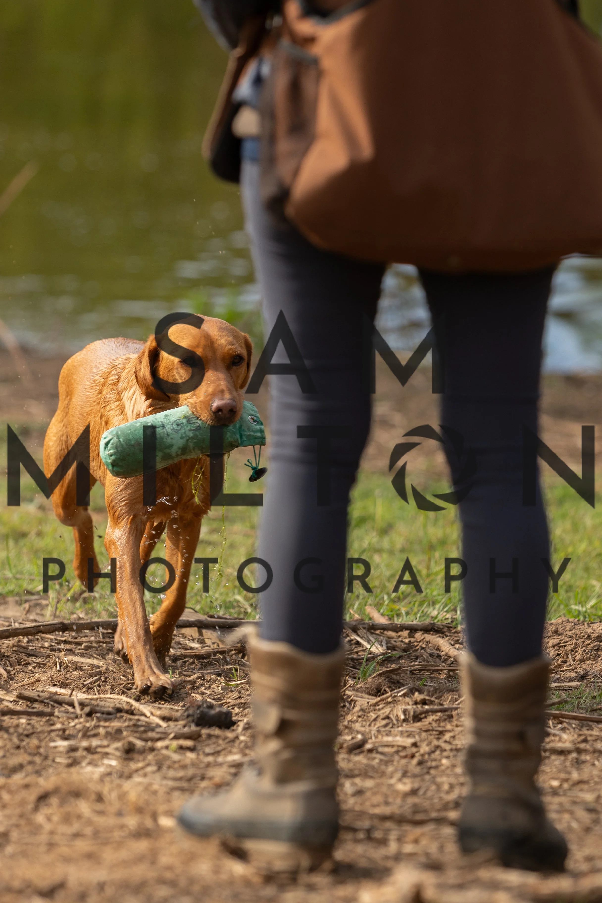 Gun Dog Challenge-33.jpg