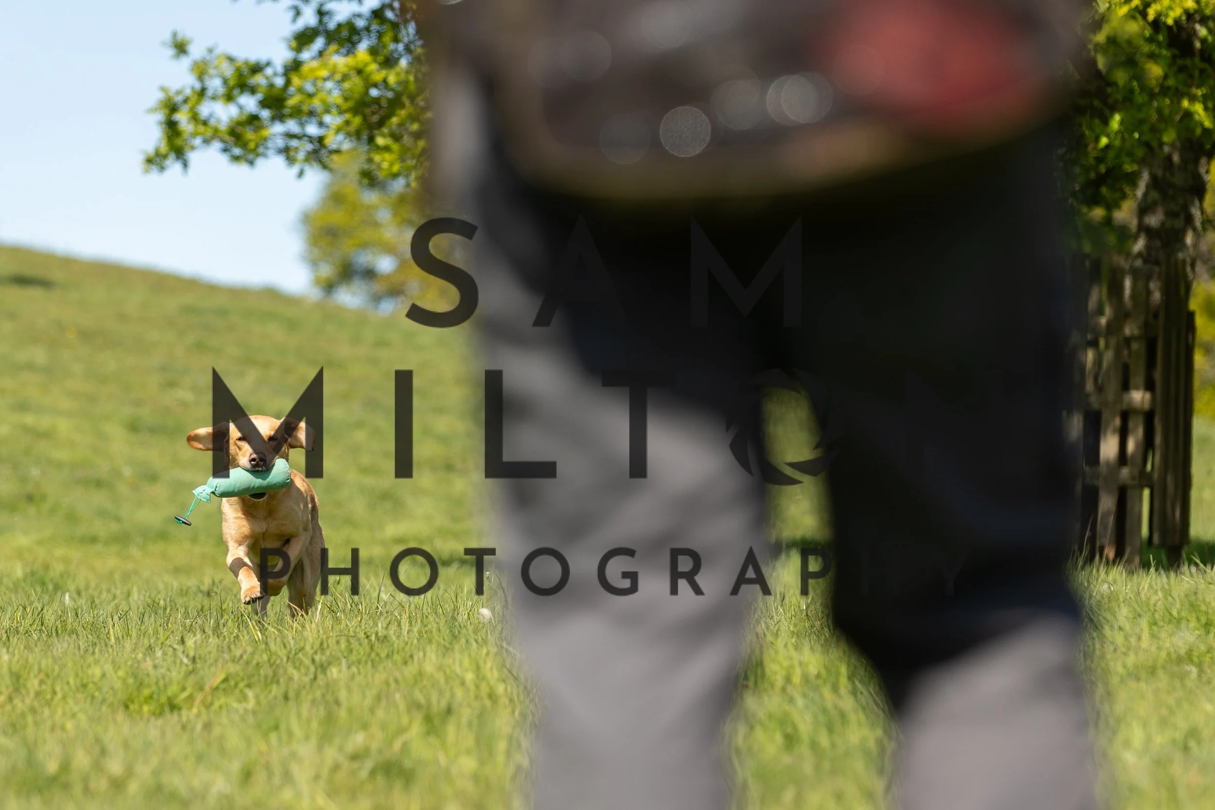 Gun Dog Challenge-242.jpg