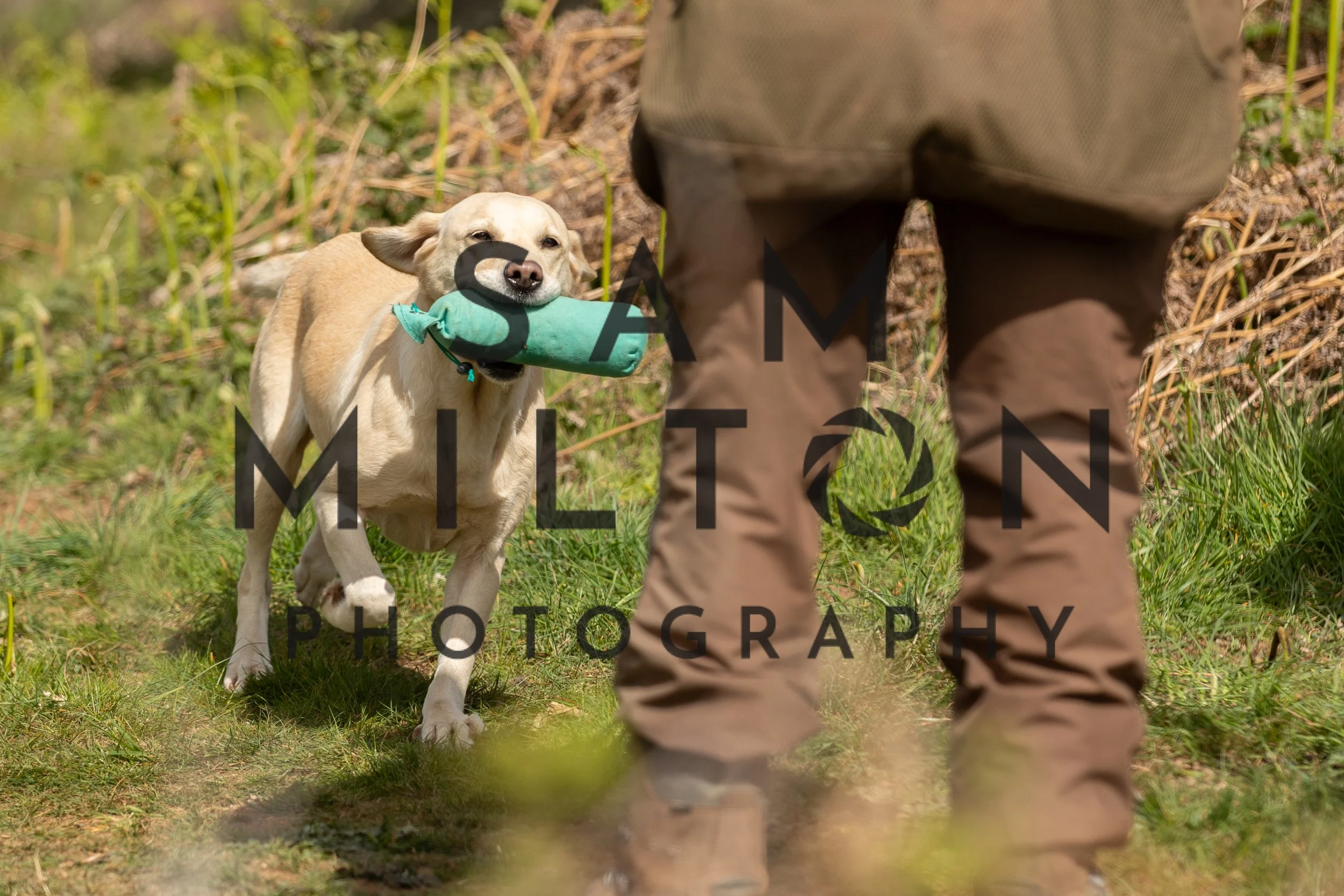 Gun Dog Challenge-142.jpg