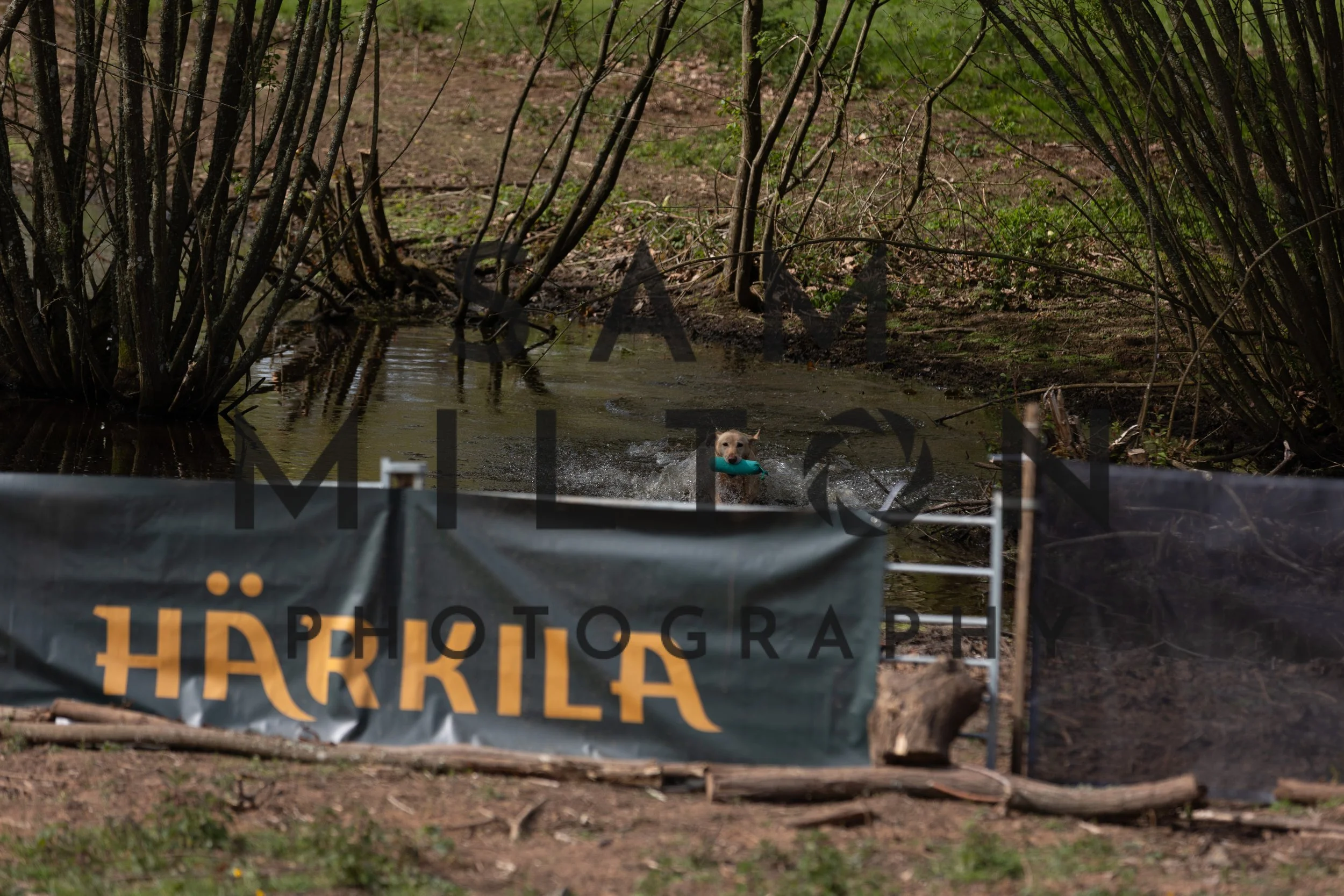 Gun Dog Challenge-96.jpg